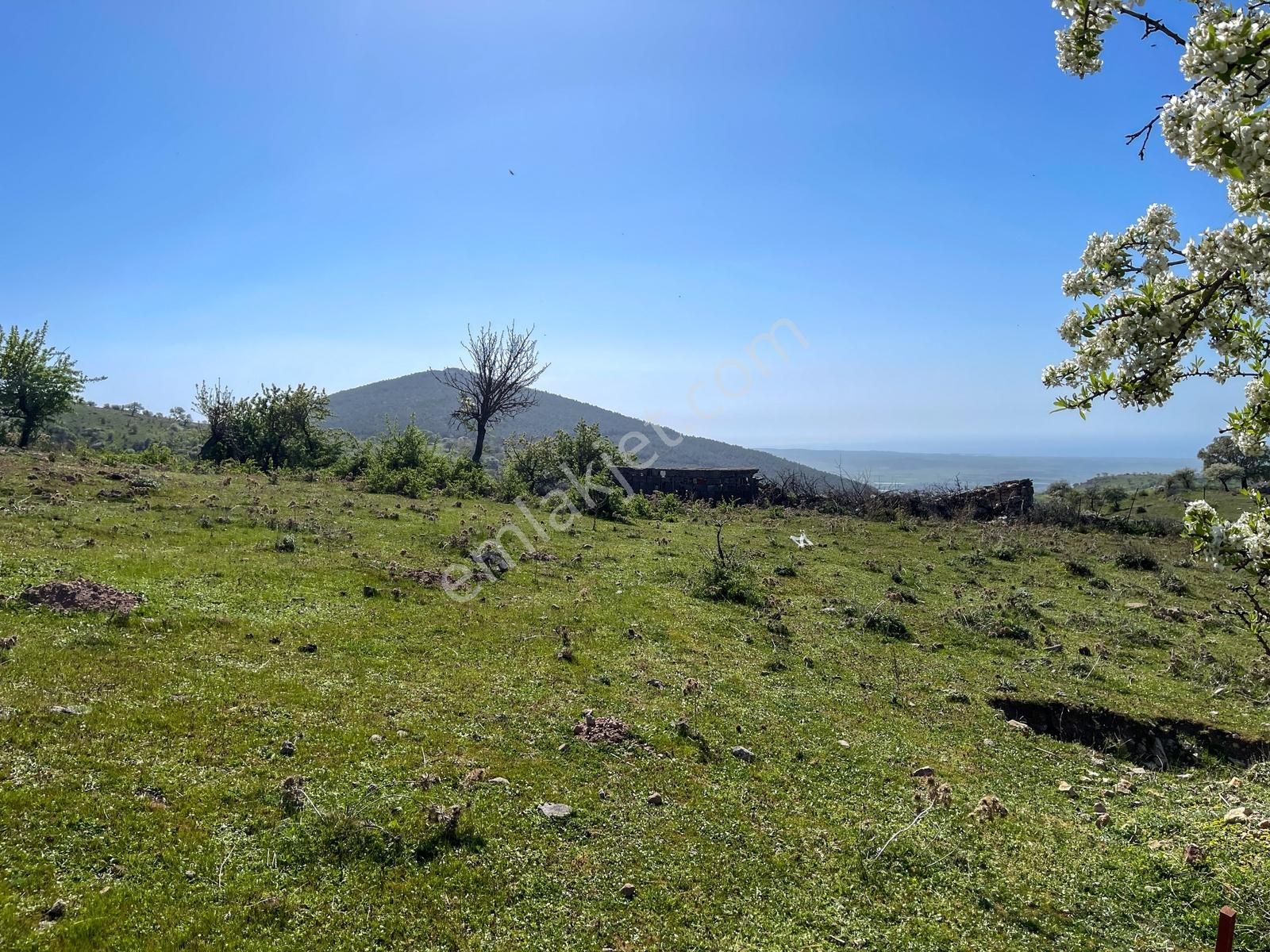 Ayvacık'ta Panoramik Ege Manzaralı Köyiçi İmara Bitişik 2.983 M² - Görsel 13