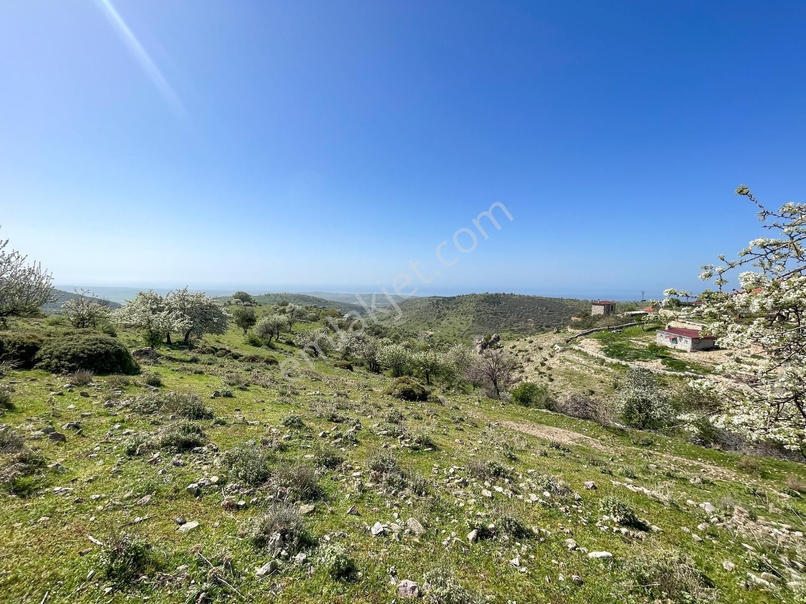 Ayvacık'ta Panoramik Ege Manzaralı Köyiçi İmara Bitişik 2.983 M² - Görsel 8