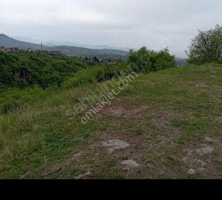 Ortahisar Bulak'ta 4.700 M2 Yatırımlık Arsa - Görsel 3