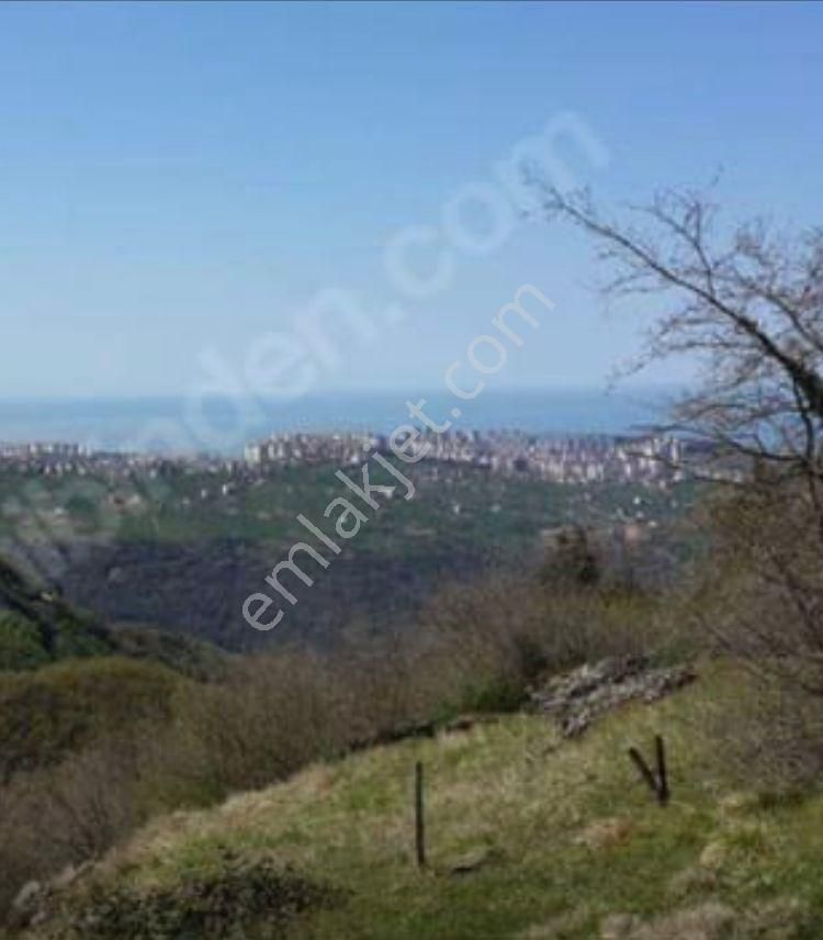 Ortahisar Bulak'ta 4.700 M2 Yatırımlık Arsa - Görsel 2