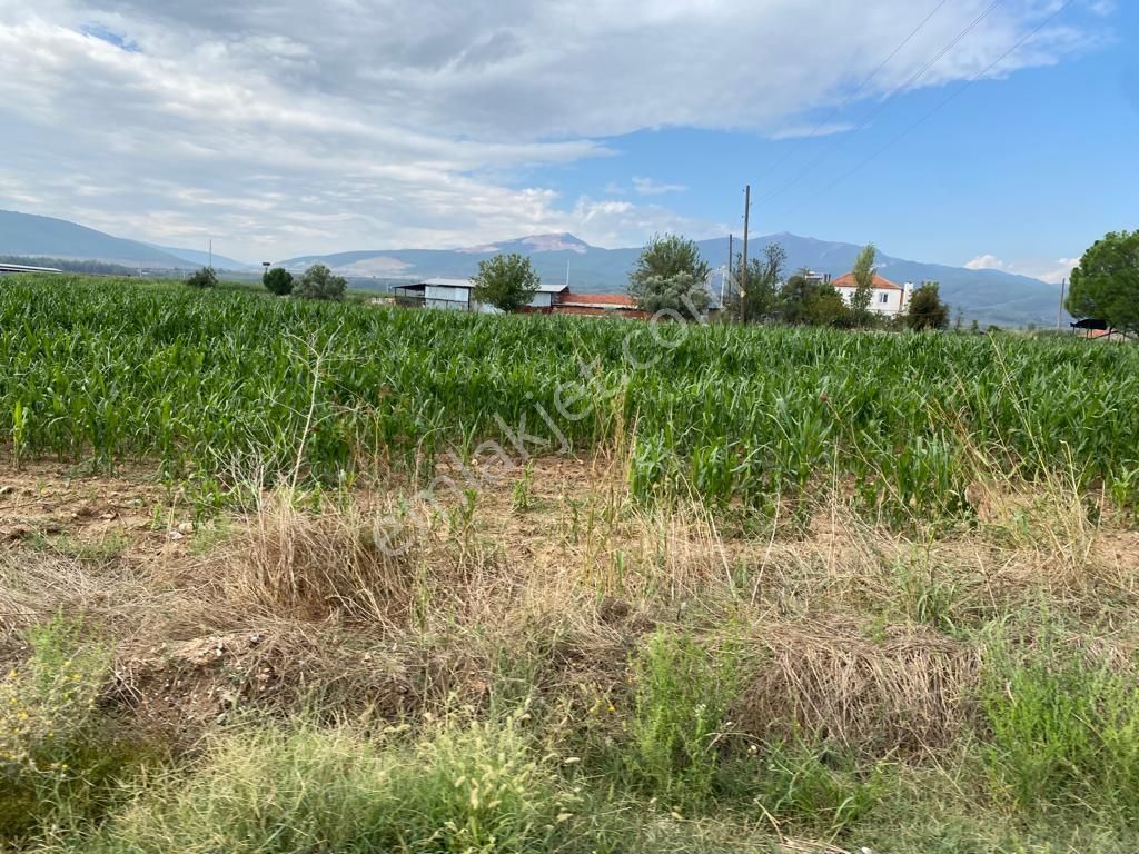 Muğla Yatağan Hisarardı Mah. Satılık Tarla - Görsel 19