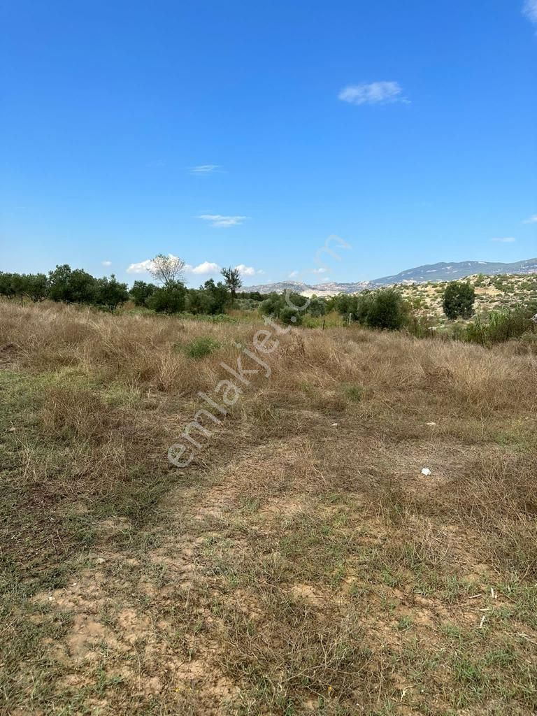 Muğla Yatağan Hisarardı Mah. Satılık Tarla - Görsel 8