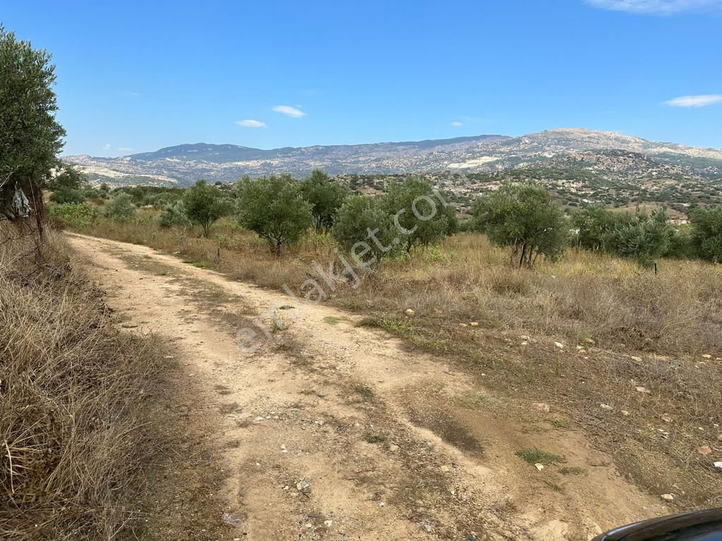 Muğla Yatağan Hisarardı Mah. Satılık Tarla - Görsel 16