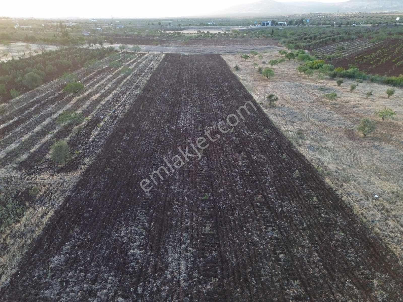 Oylumda Ana Asfalta Yakın Resmi Yol Üzeri Bağevlerinin İçinde - Görsel 14