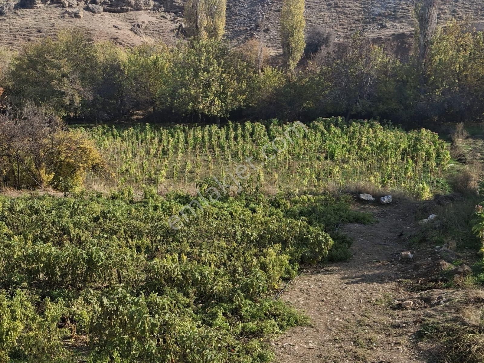 Hakev'den Adıyaman Alitaşı Mahallesi Satılık 1.815 M2 Sulu Arazi - Görsel 4