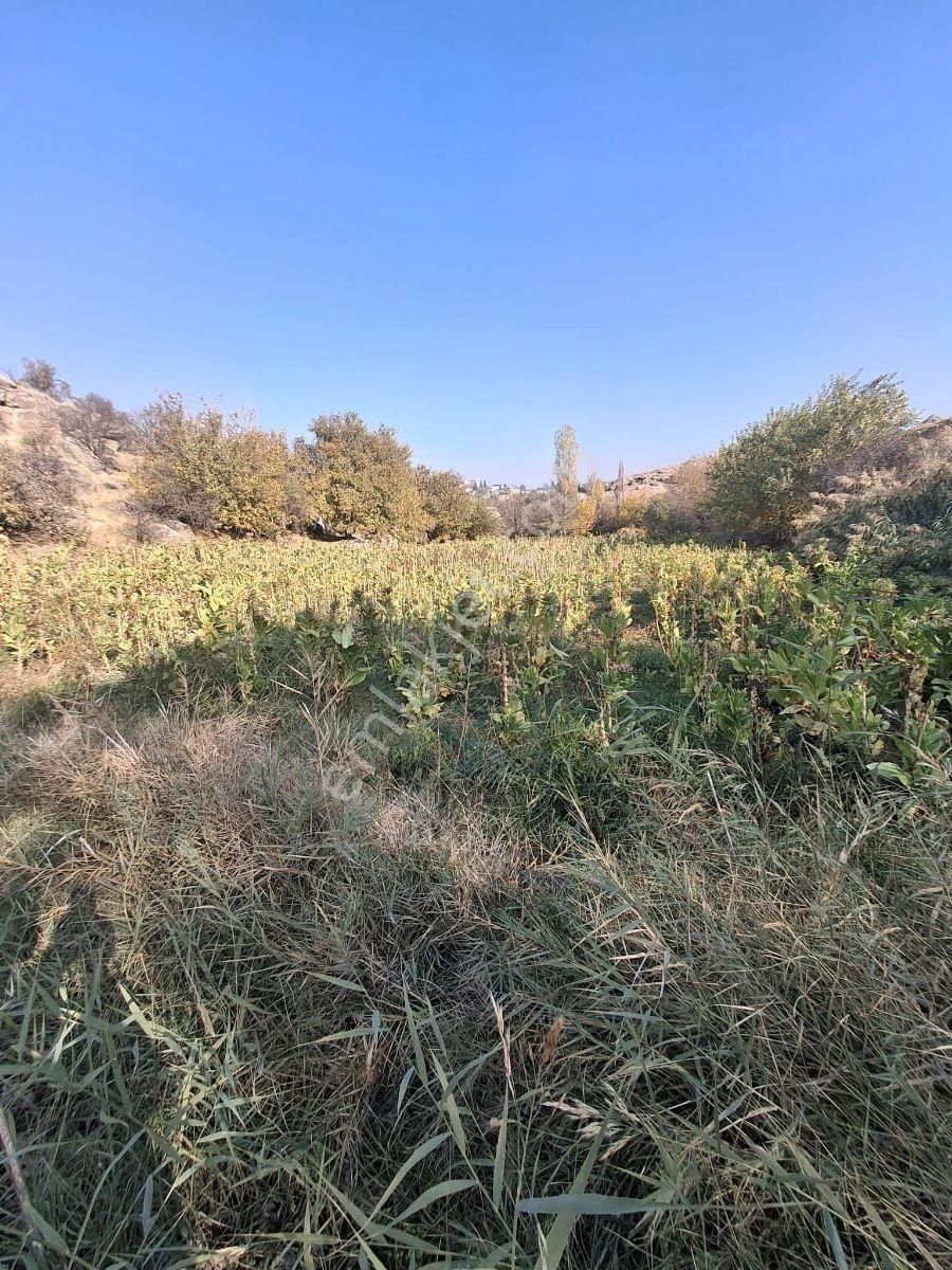 Hakev'den Adıyaman Alitaşı Mahallesi Satılık 1.815 M2 Sulu Arazi - Görsel 8