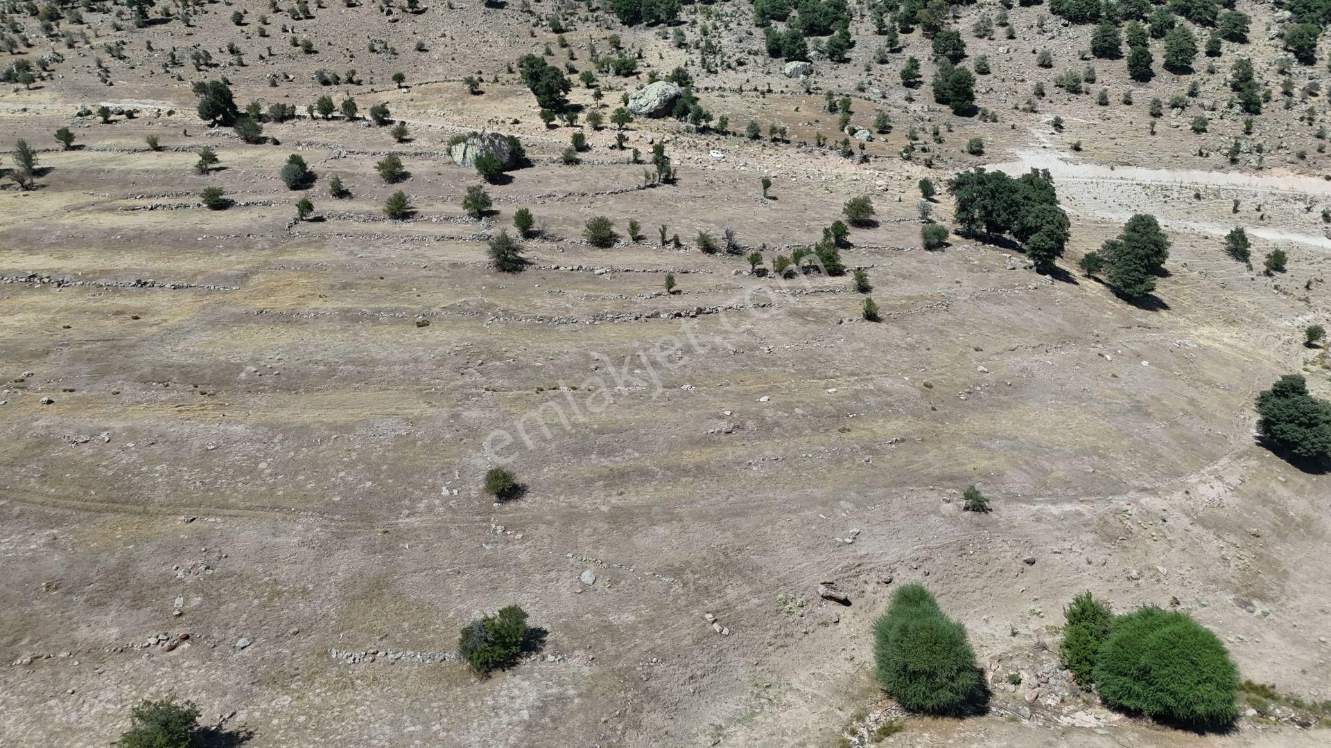 Konya / Meram / Kilistra Mahallesinde 1.510 M² Müstakil Tapulu Tarla - Görsel 6