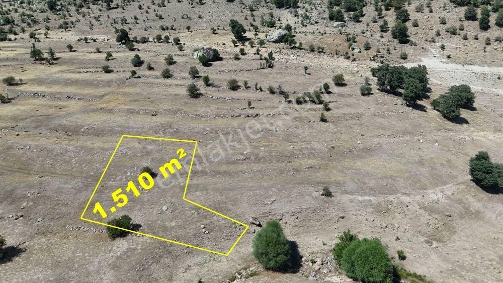 Konya / Meram / Kilistra Mahallesinde 1.510 M² Müstakil Tapulu Tarla - Görsel 3