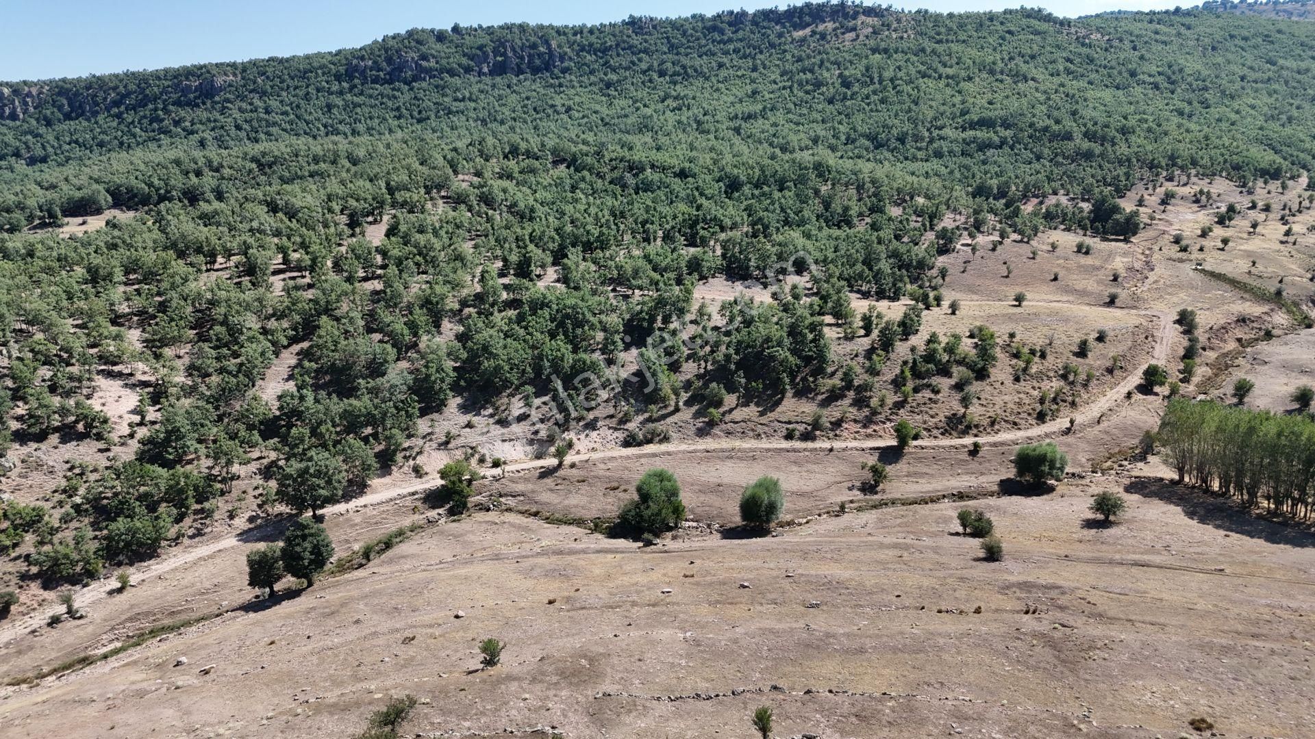 Konya / Meram / Kilistra Mahallesinde 1.510 M² Müstakil Tapulu Tarla - Görsel 2