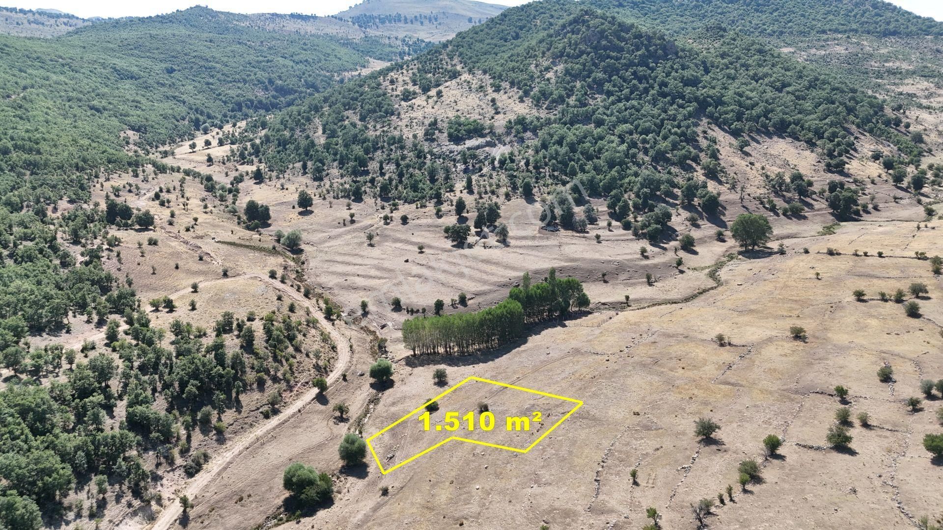 Konya / Meram / Kilistra Mahallesinde 1.510 M² Müstakil Tapulu Tarla