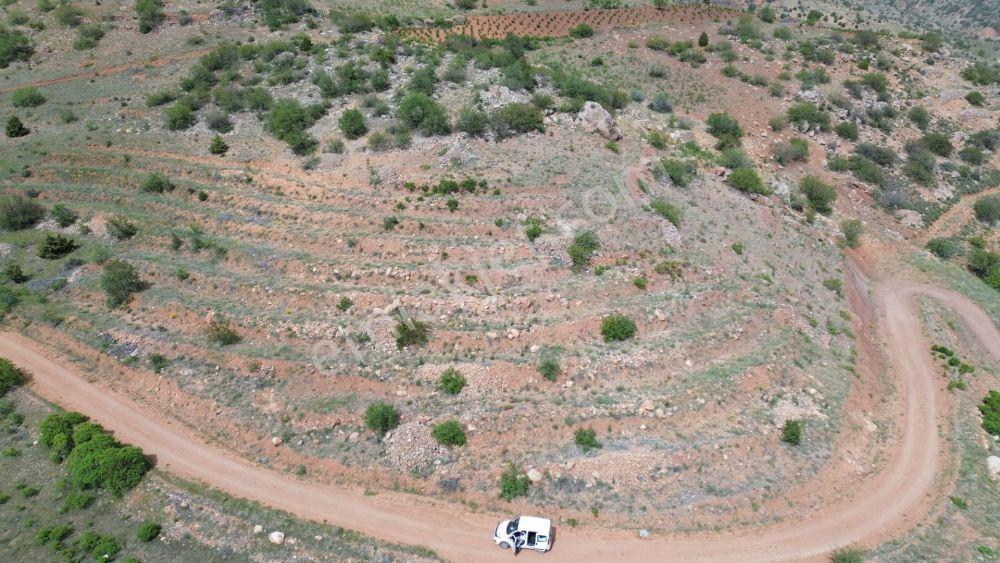 Hadim Aşağıeşenler De 5.986 M2 Müstakil Tapulu Tarla - Görsel 2