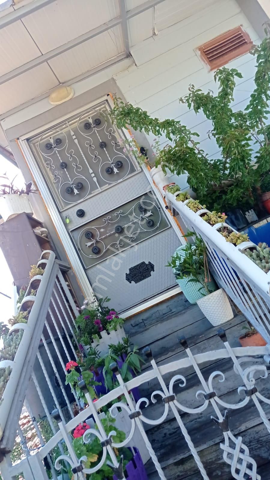 Edremit Pınarbaşı Köyünde 1+1 Eşyalı Kiralık Müstakil Ev - Görsel 12