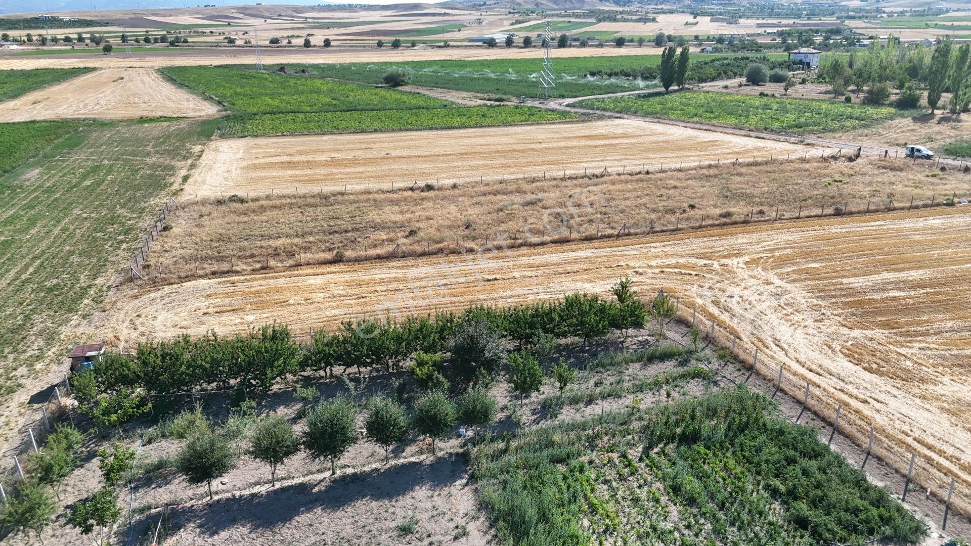 Konya / Meram / Hatunsaray Mahallesinde 3.185 M² Müstakil Tapulu Tarla - Görsel 4