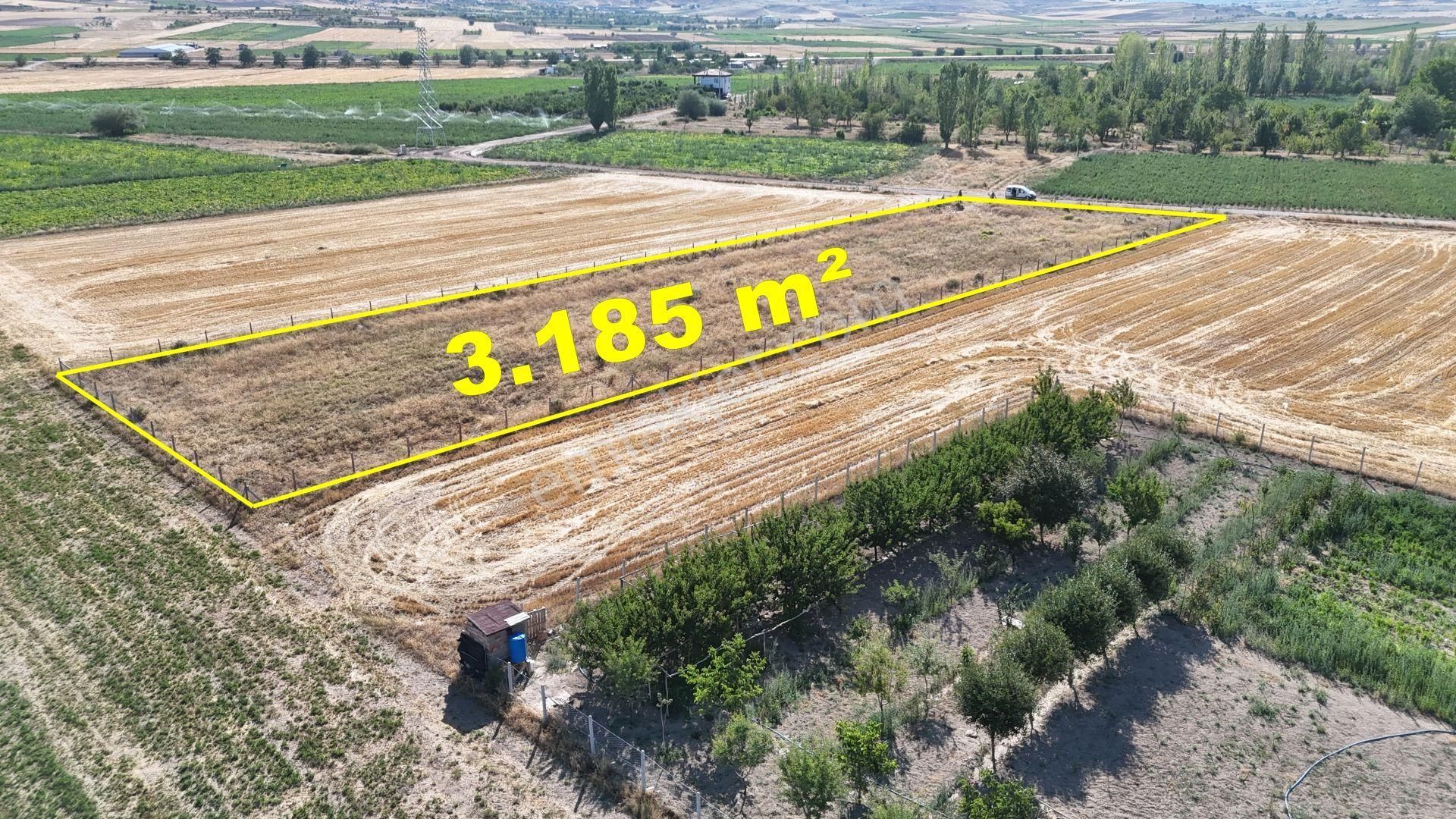 Konya / Meram / Hatunsaray Mahallesinde 3.185 M² Müstakil Tapulu Tarla - Görsel 8