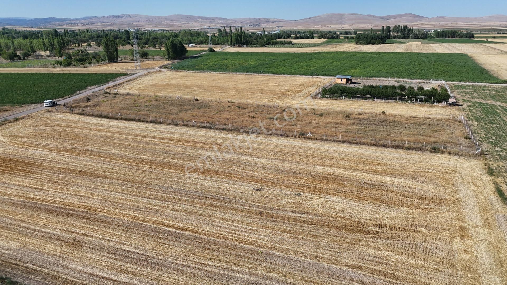 Konya / Meram / Hatunsaray Mahallesinde 3.185 M² Müstakil Tapulu Tarla - Görsel 3