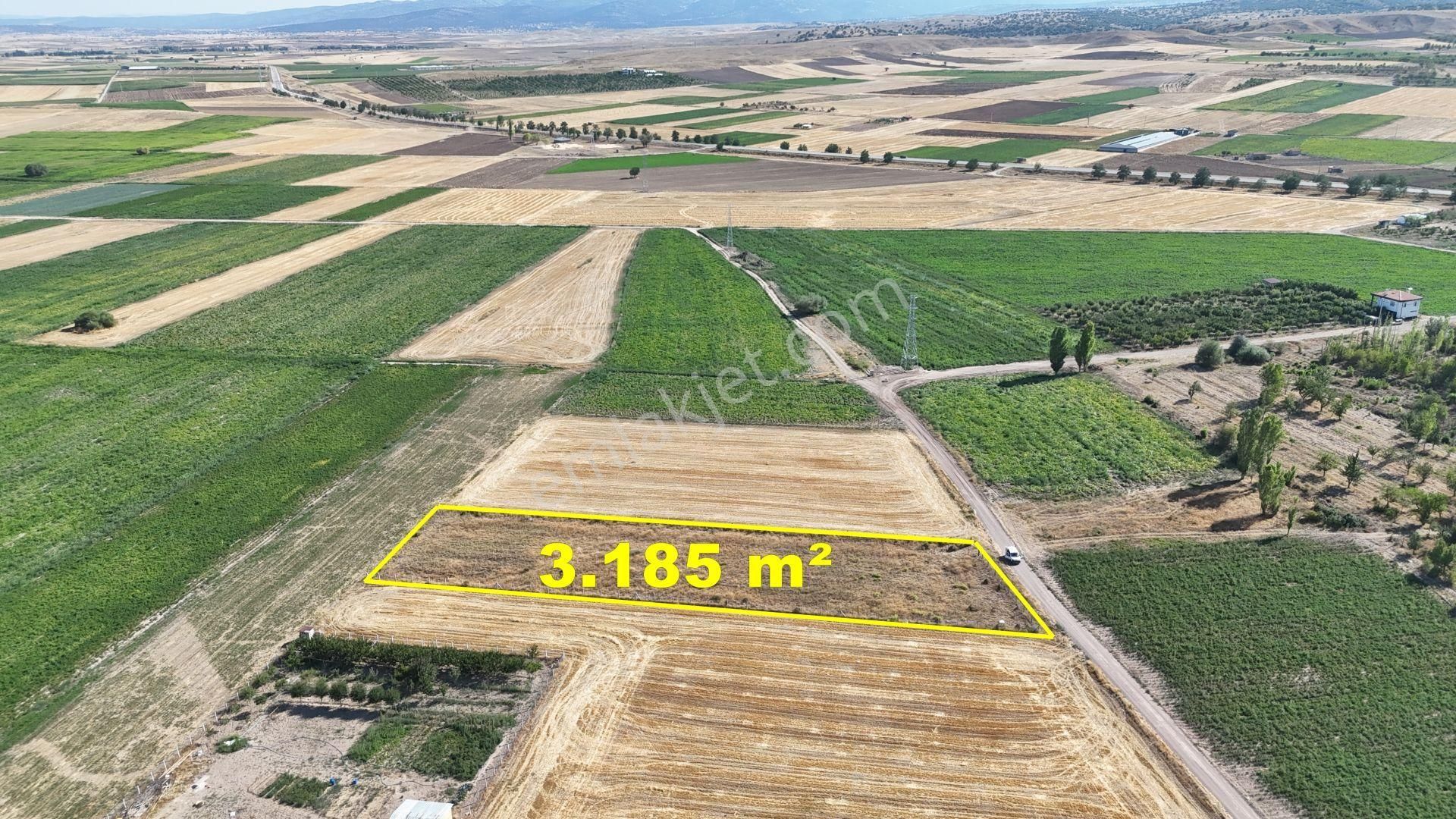 Konya / Meram / Hatunsaray Mahallesinde 3.185 M² Müstakil Tapulu Tarla