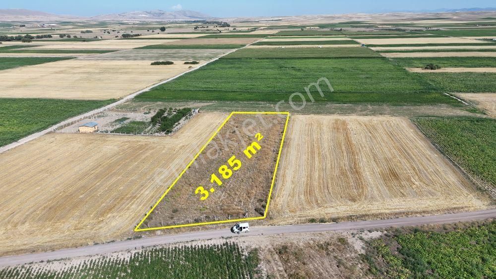 Konya / Meram / Hatunsaray Mahallesinde 3.185 M² Müstakil Tapulu Tarla - Görsel 2