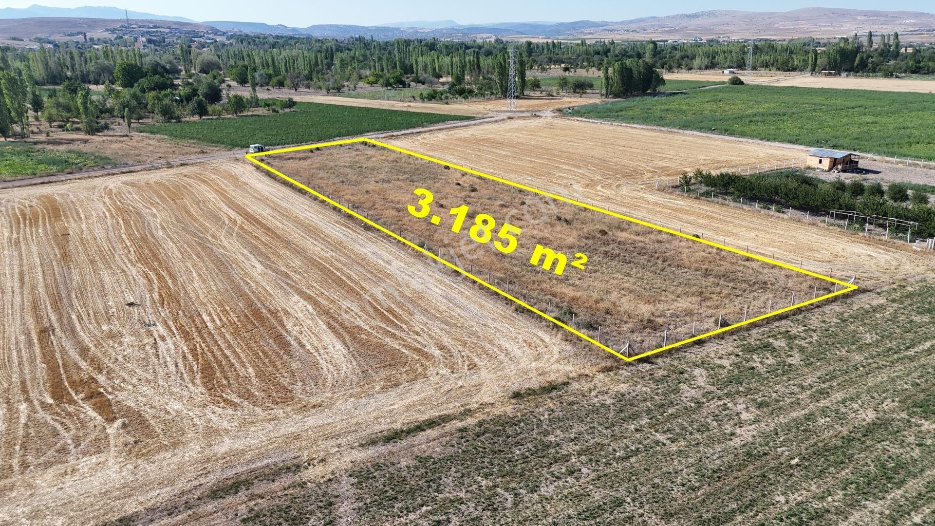 Konya / Meram / Hatunsaray Mahallesinde 3.185 M² Müstakil Tapulu Tarla - Görsel 9