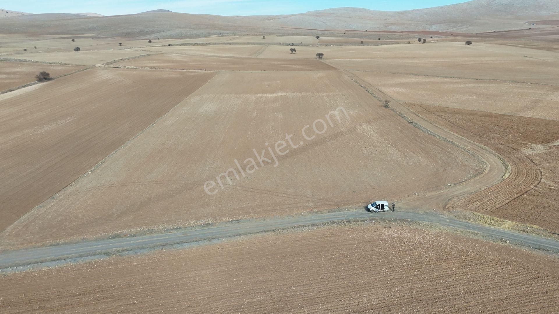 Konya / Meram / Karaağaç Mahallesinde 19.299 M² Müstakil Tapulu Tarla - Görsel 7