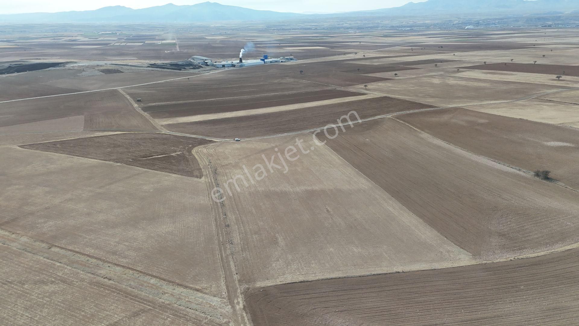 Konya / Meram / Karaağaç Mahallesinde 19.299 M² Müstakil Tapulu Tarla - Görsel 4