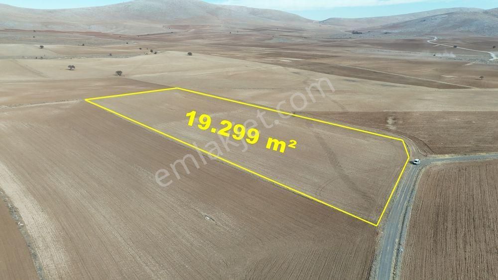 Konya / Meram / Karaağaç Mahallesinde 19.299 M² Müstakil Tapulu Tarla - Görsel 8