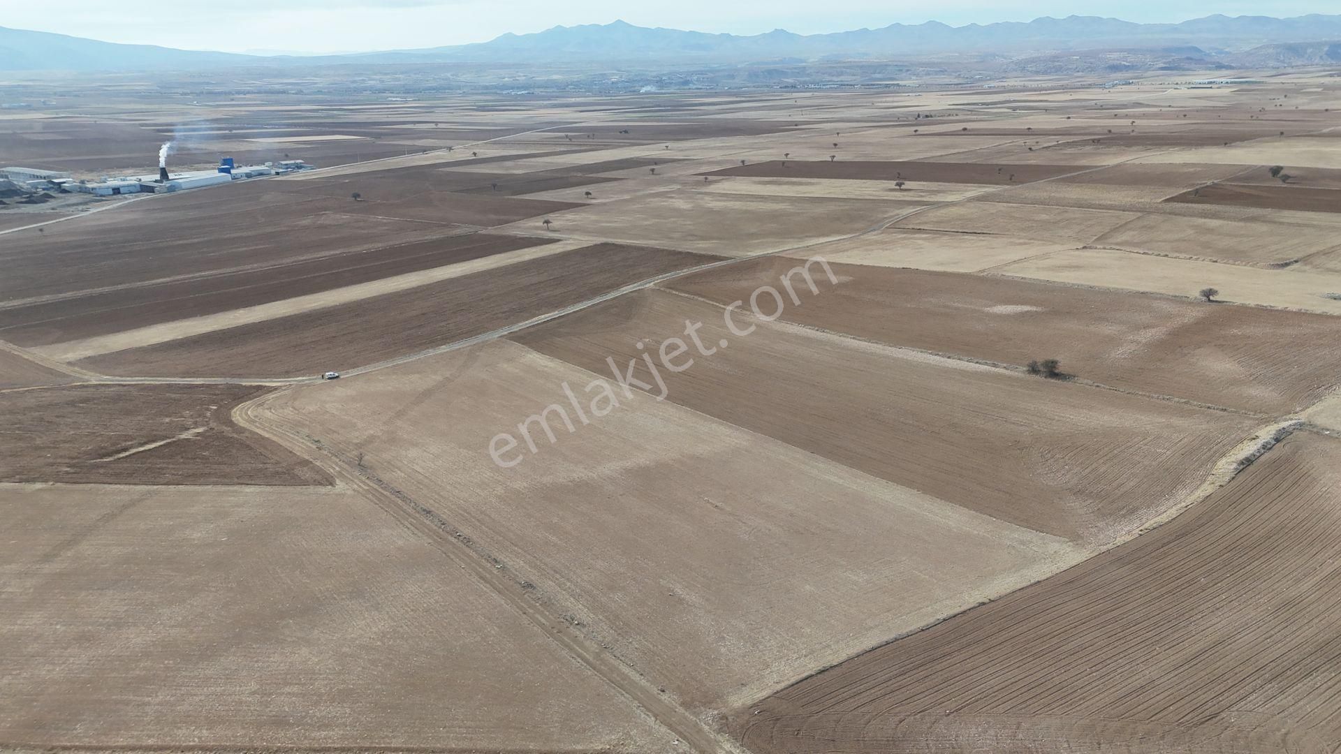 Konya / Meram / Karaağaç Mahallesinde 19.299 M² Müstakil Tapulu Tarla - Görsel 2