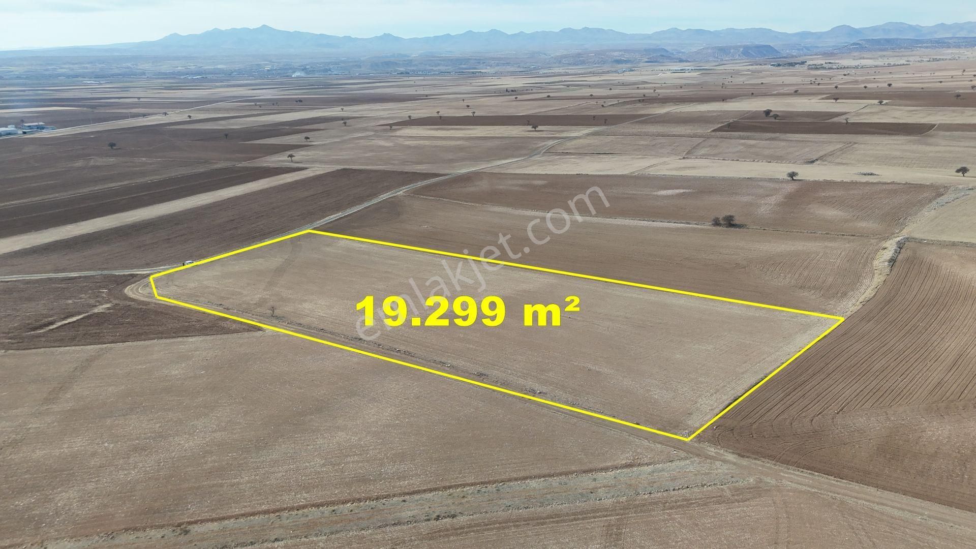 Konya / Meram / Karaağaç Mahallesinde 19.299 M² Müstakil Tapulu Tarla - Görsel 3