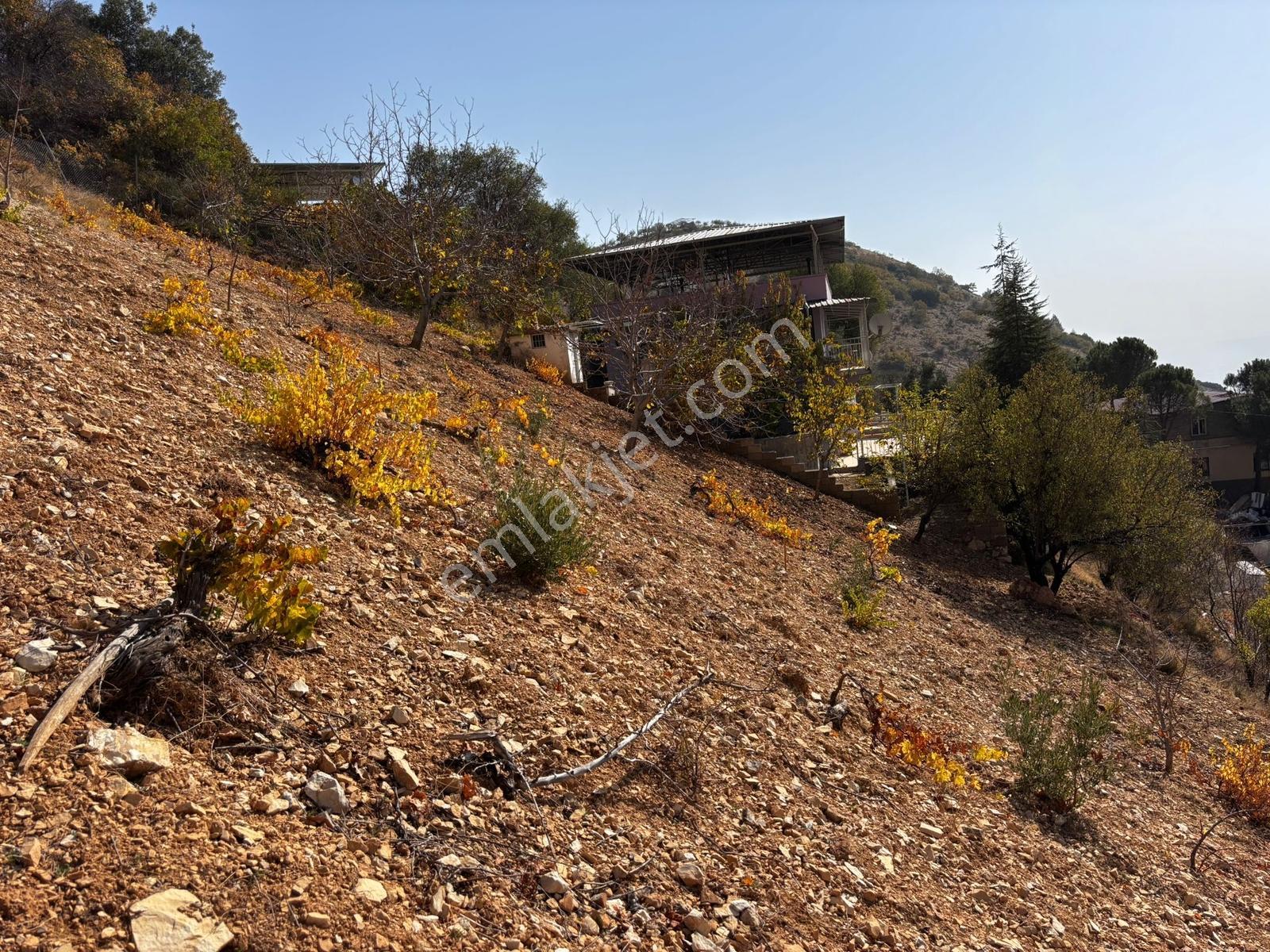Cb'den Dereli Güzlek Mevkinde Tek Tapu (2.463m2) Satılık Bahçe - Görsel 8