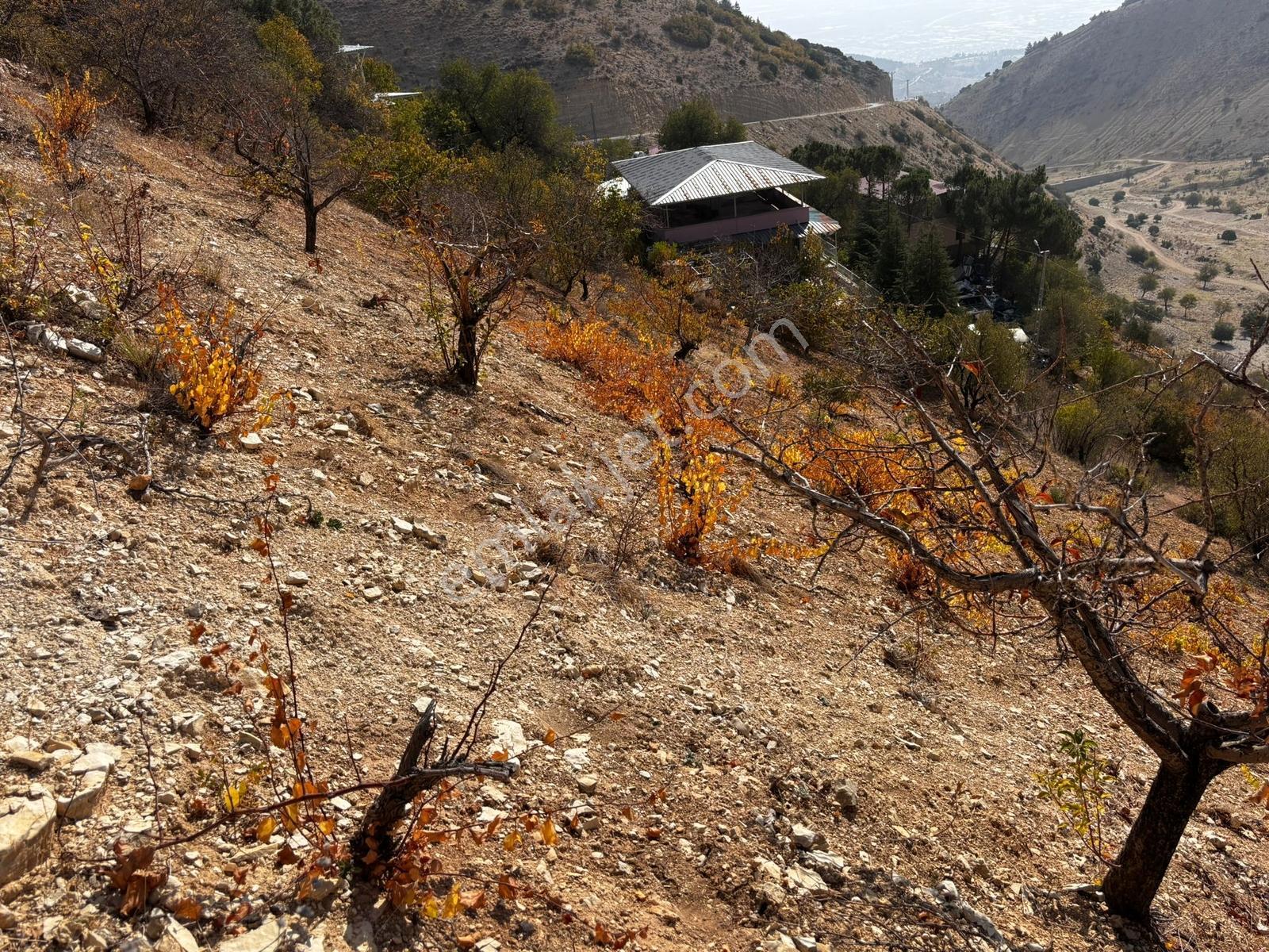 Cb'den Dereli Güzlek Mevkinde Tek Tapu (2.463m2) Satılık Bahçe - Görsel 18