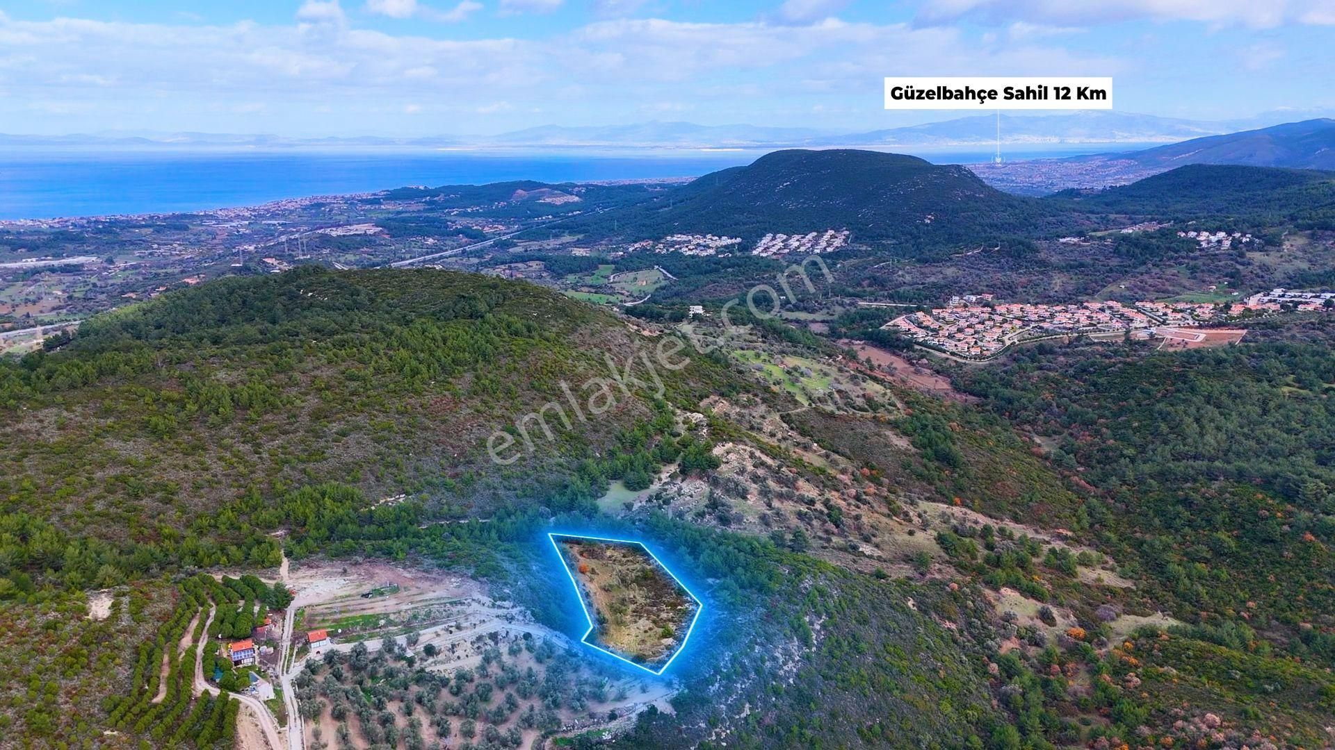 Kekliktepe'de Doğa İçerisinde Zeytinli Tarla - Görsel 9