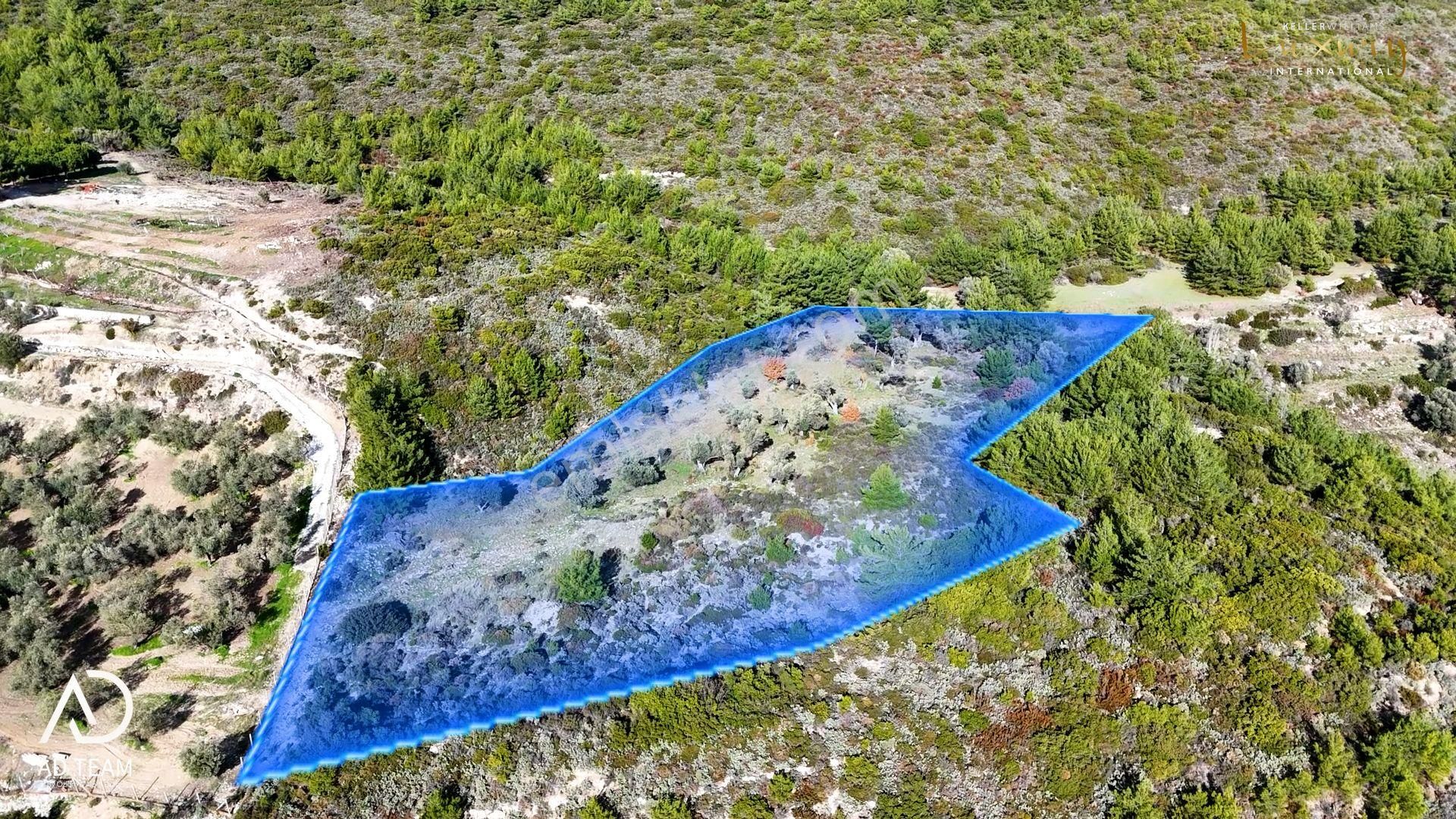 Kekliktepe'de Doğa İçerisinde Zeytinli Tarla - Görsel 5