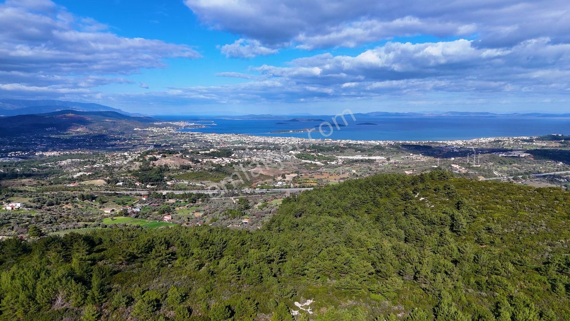 Kekliktepe'de Doğa İçerisinde Zeytinli Tarla - Görsel 4