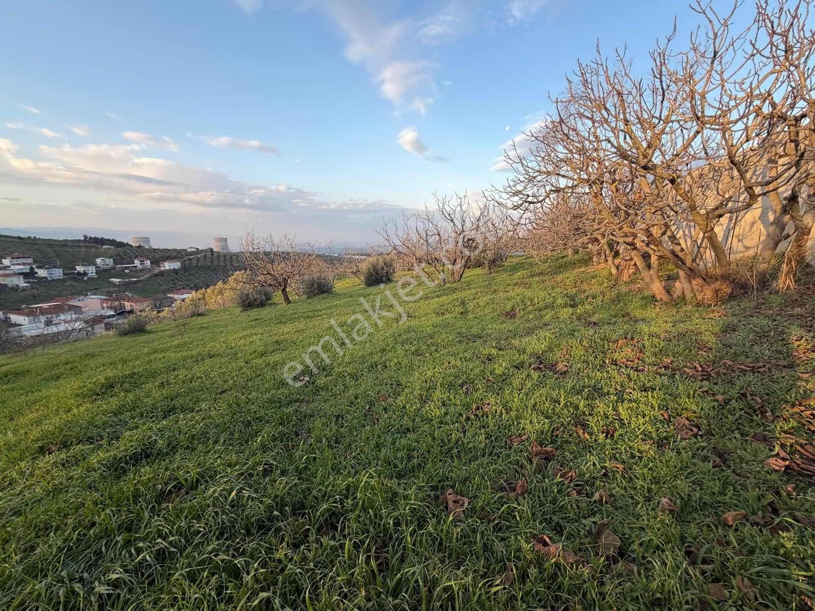 Ovaakça,da 840 M2 Villa İmarlı Arsa - Görsel 11