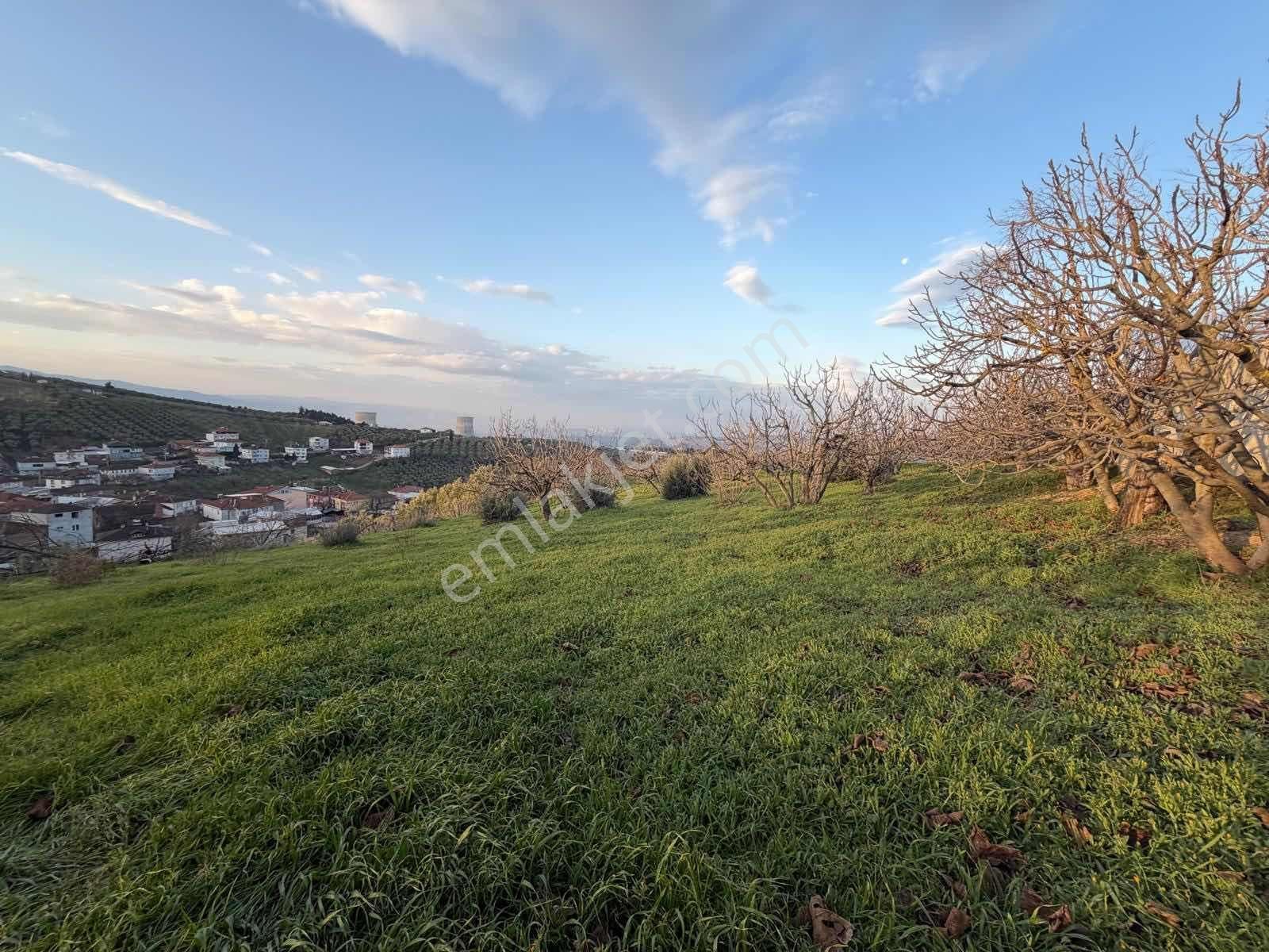 Ovaakça,da 840 M2 Villa İmarlı Arsa - Görsel 2