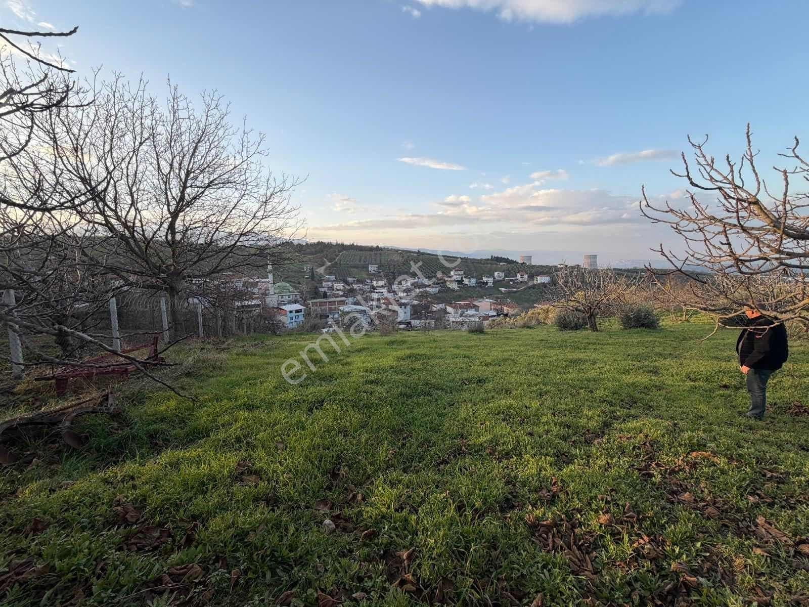 Ovaakça,da 800 M2 Villa İmarlı Arsa