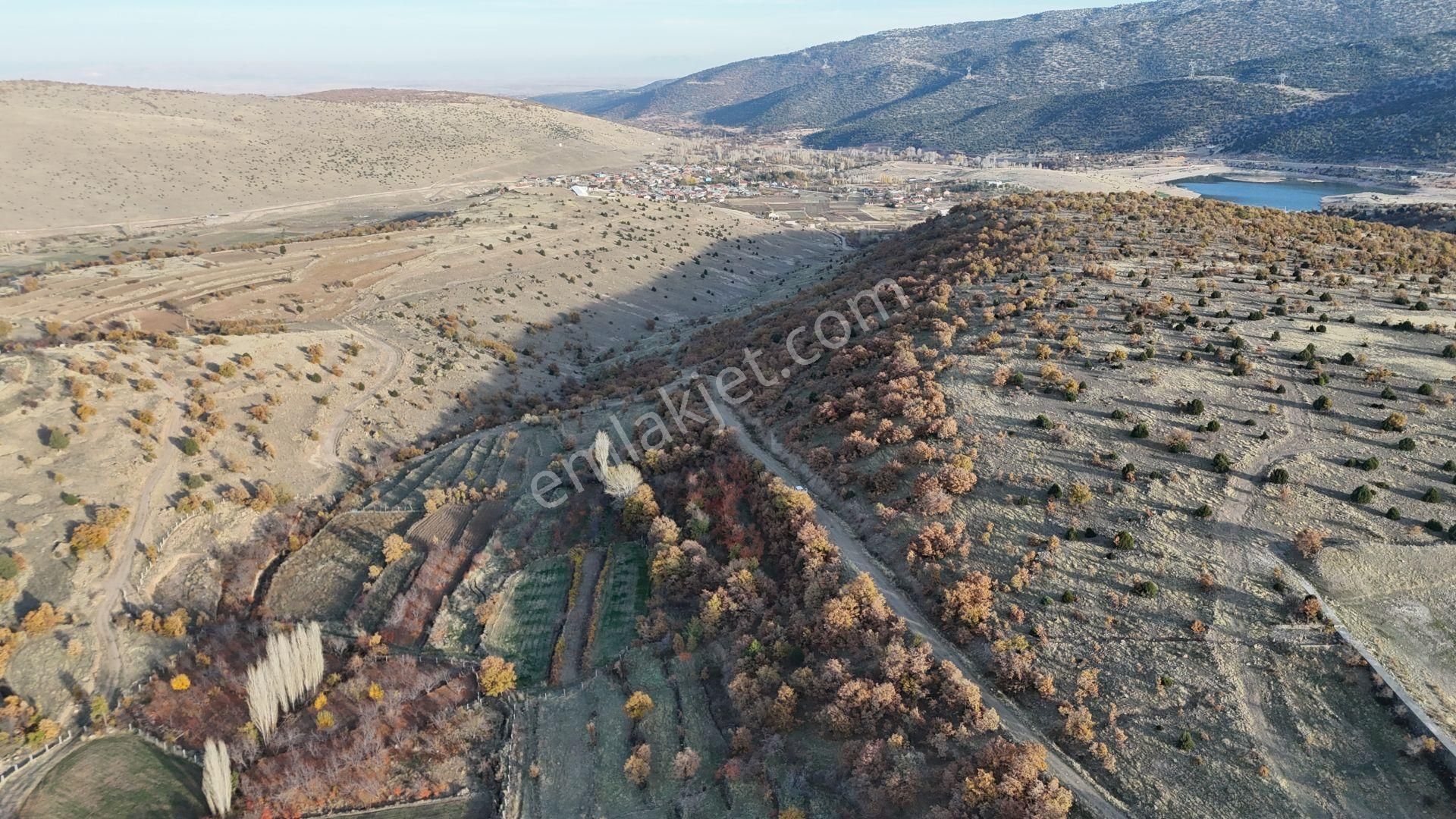 Konya / Meram / Çukurçimen Mahallesinde 313 M² Müstakil Tapulu Bahçe - Görsel 3