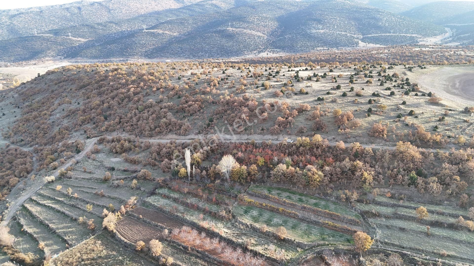 Konya / Meram / Çukurçimen Mahallesinde 313 M² Müstakil Tapulu Bahçe - Görsel 5