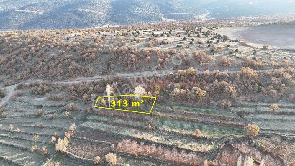 Konya / Meram / Çukurçimen Mahallesinde 313 M² Müstakil Tapulu Bahçe - Görsel 8