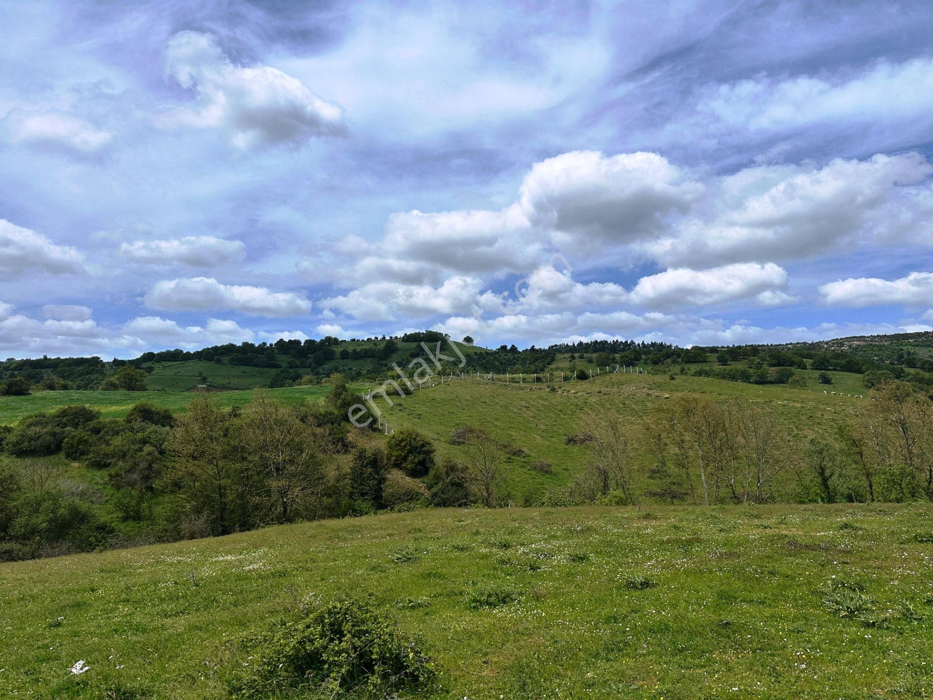Çanakkale Kaz Dağları Eteğinde 4.980m2 Yatırımlık Satılık Arsa - Görsel 16