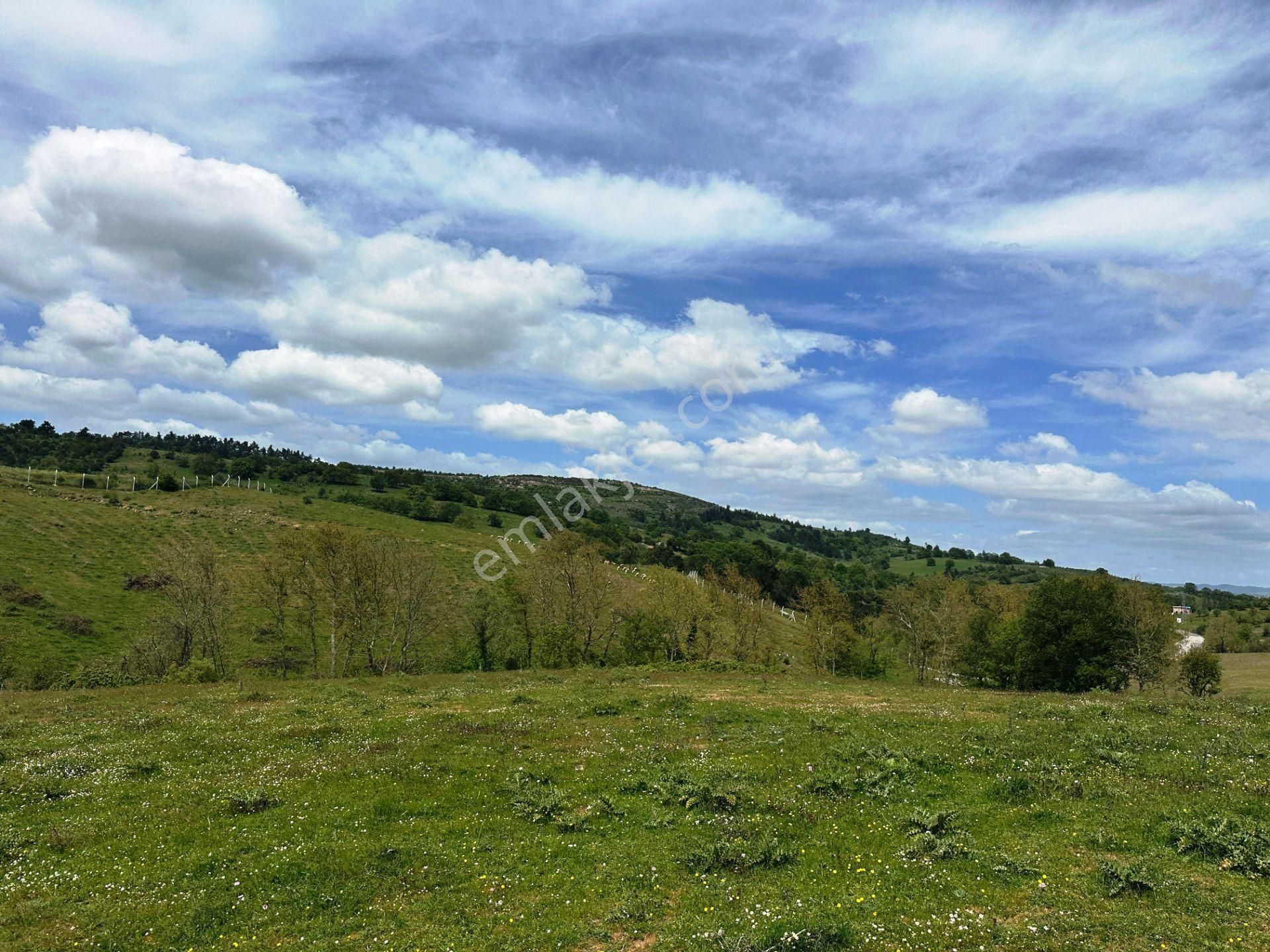 Çanakkale Kaz Dağları Eteğinde 4.980m2 Yatırımlık Satılık Arsa - Görsel 29