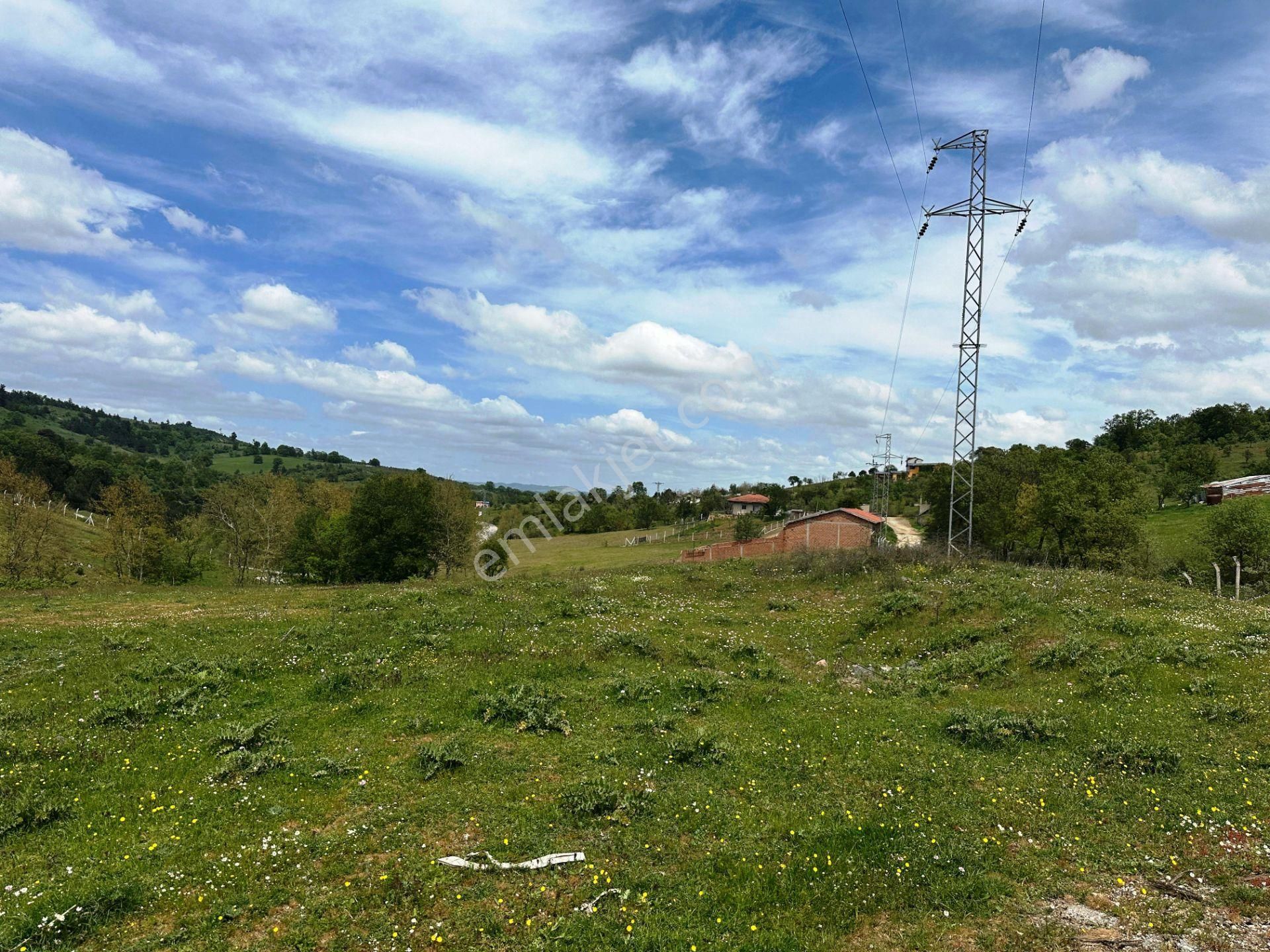 Çanakkale Kaz Dağları Eteğinde 4.980m2 Yatırımlık Satılık Arsa - Görsel 20