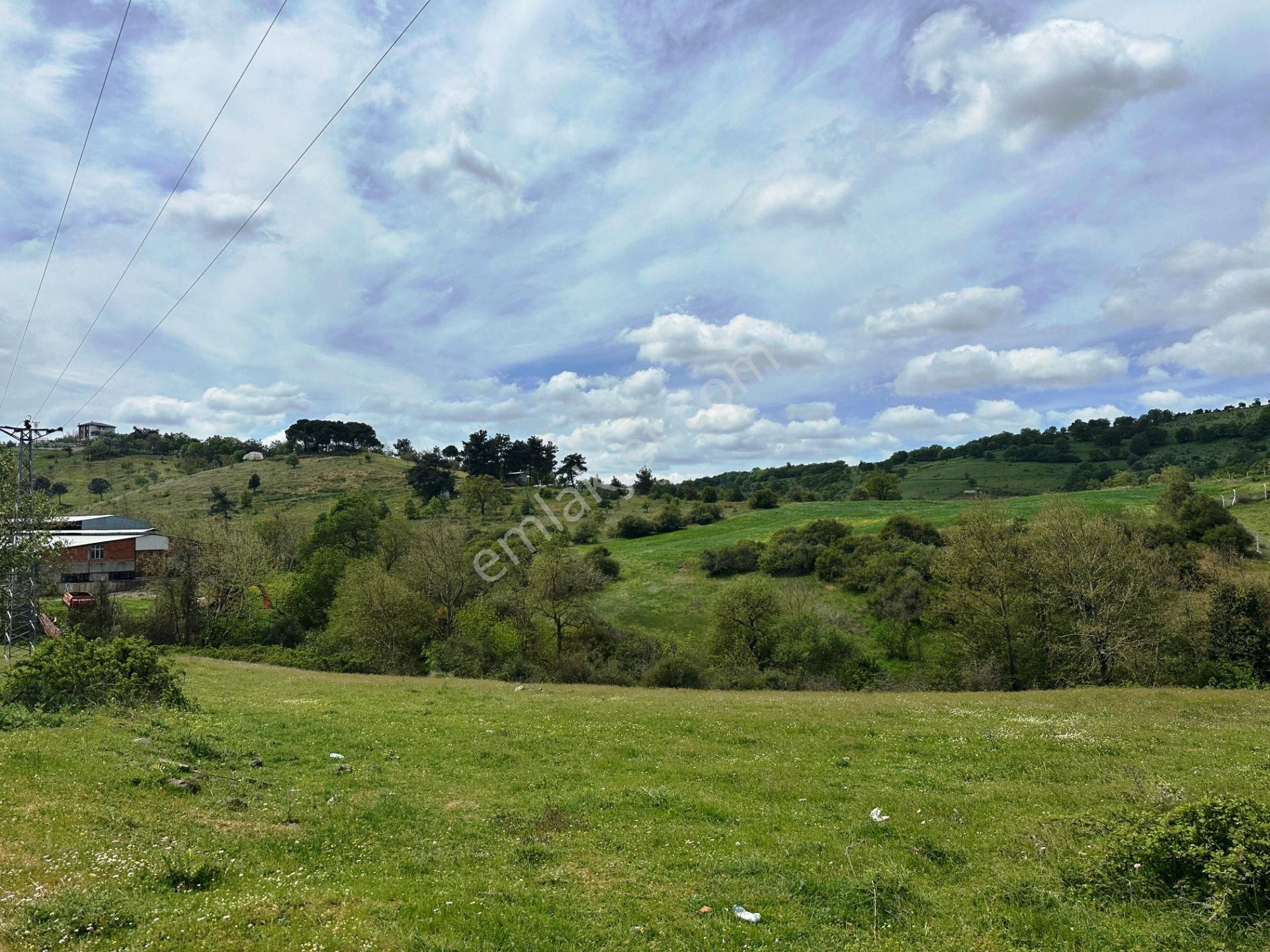 Çanakkale Kaz Dağları Eteğinde 4.980m2 Yatırımlık Satılık Arsa - Görsel 14