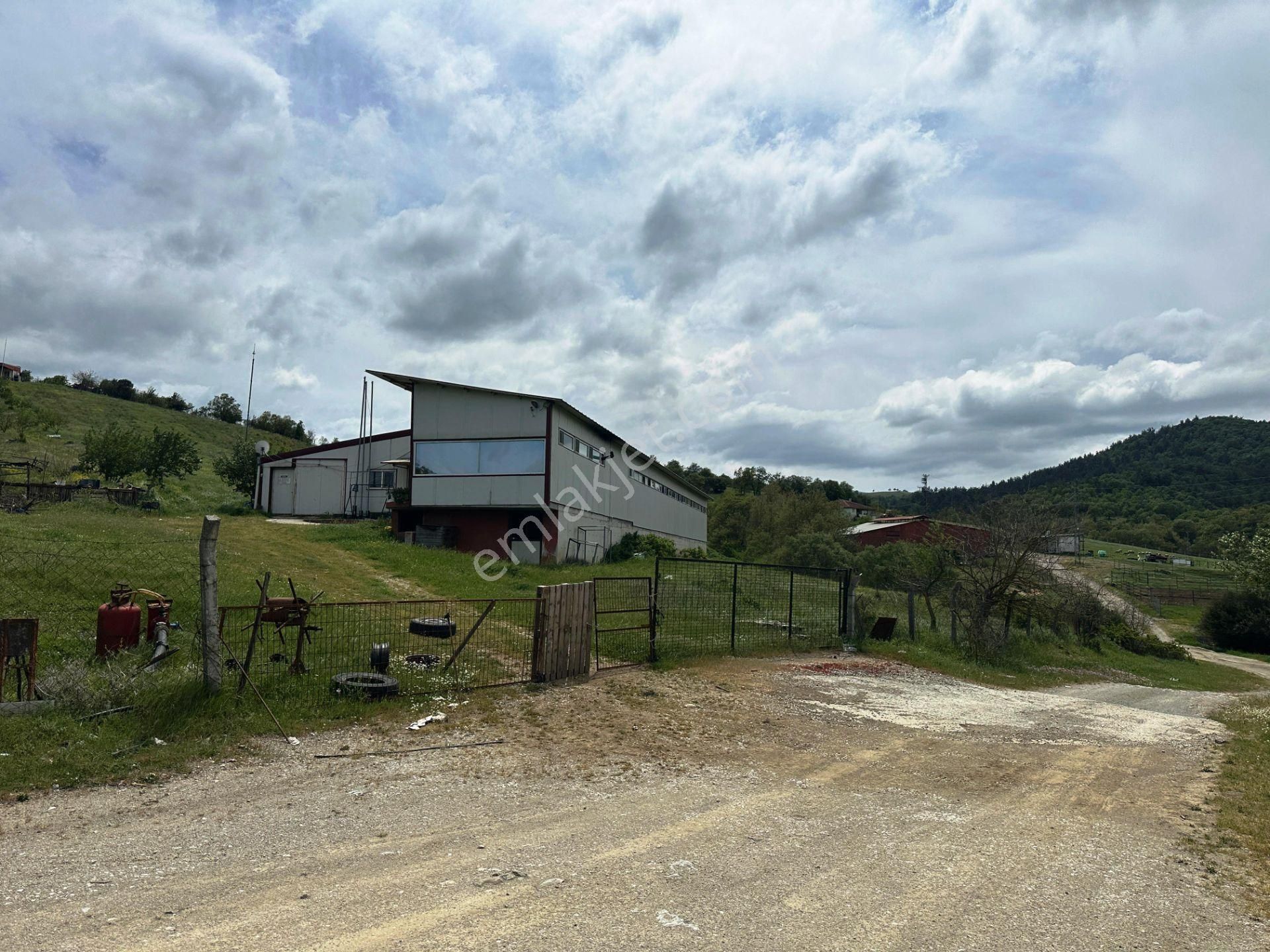 Çanakkale Kaz Dağları Eteğinde 4.980m2 Yatırımlık Satılık Arsa - Görsel 11