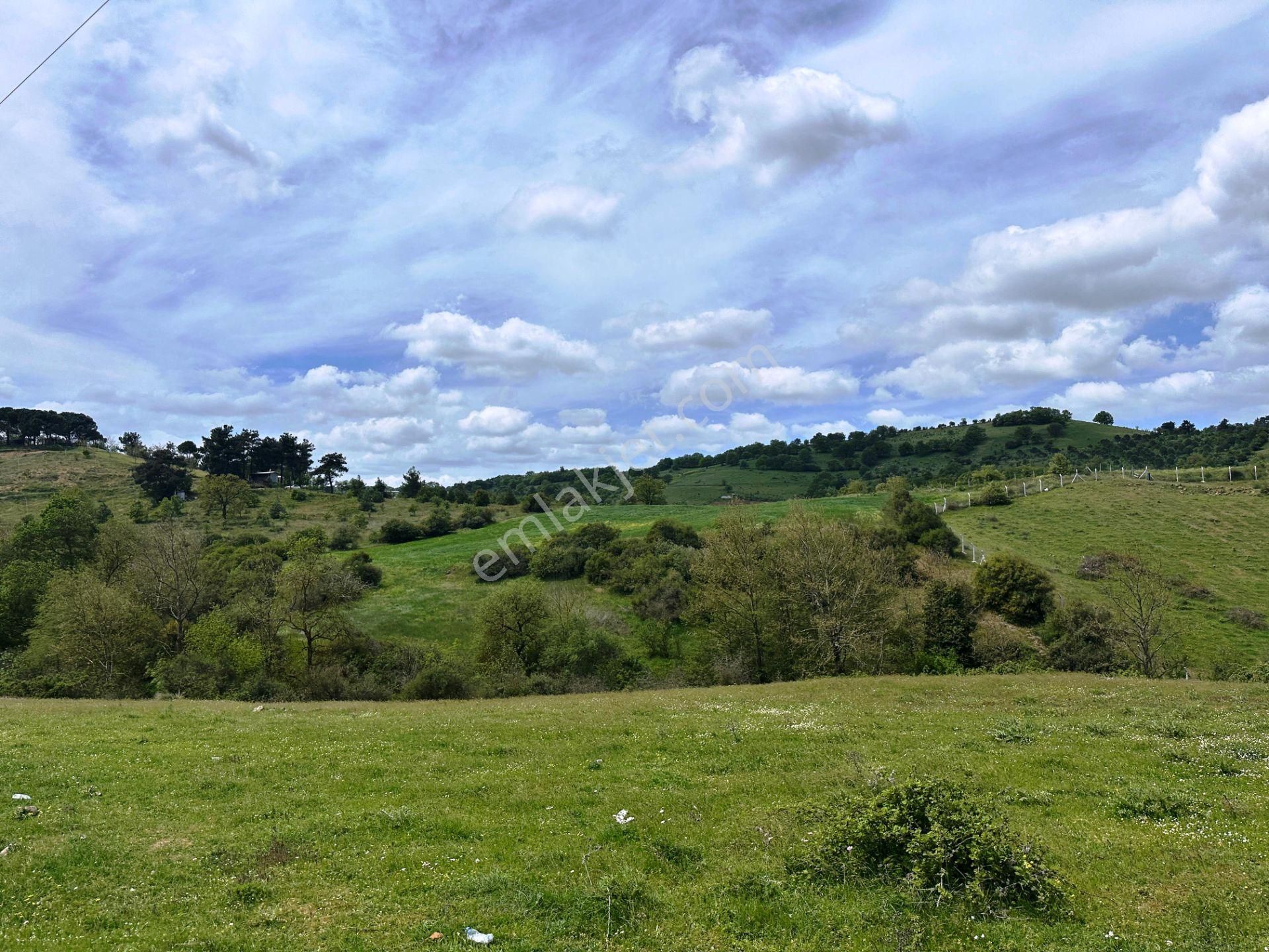 Çanakkale Kaz Dağları Eteğinde 4.980m2 Yatırımlık Satılık Arsa - Görsel 15