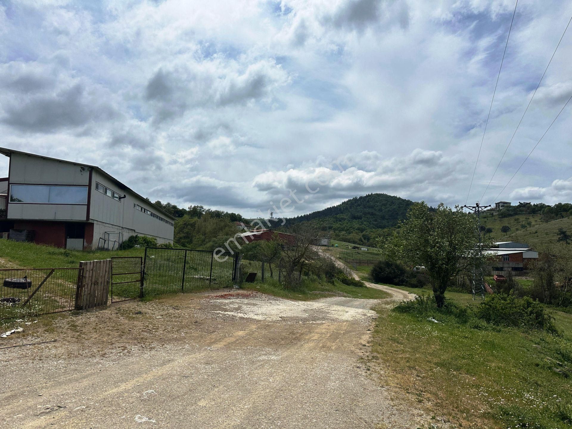 Çanakkale Kaz Dağları Eteğinde 4.980m2 Yatırımlık Satılık Arsa - Görsel 12