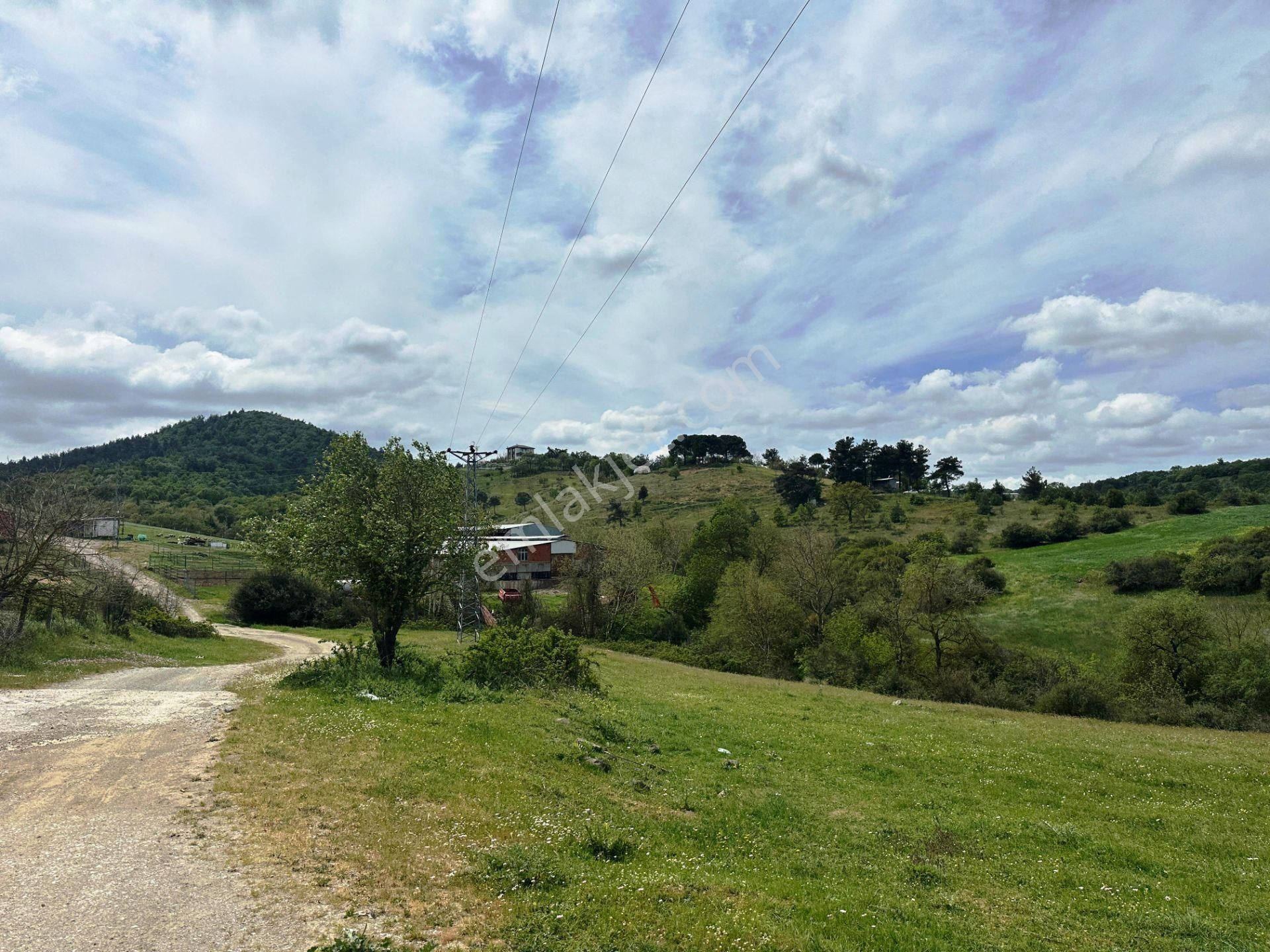 Çanakkale Kaz Dağları Eteğinde 4.980m2 Yatırımlık Satılık Arsa - Görsel 13