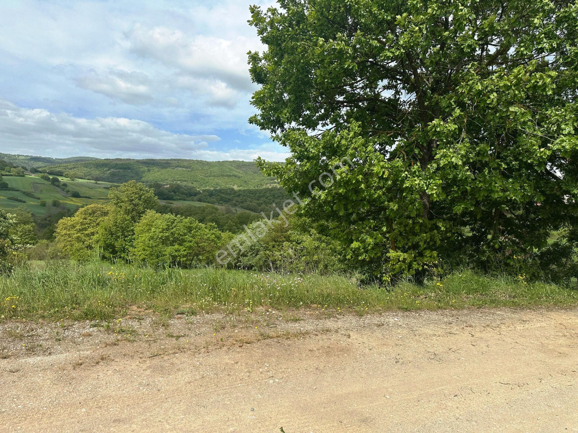 Çan Okçular'da 3.458m2 Resmi Yolu Olan Müst.parsel Satılık Arsa - Görsel 18