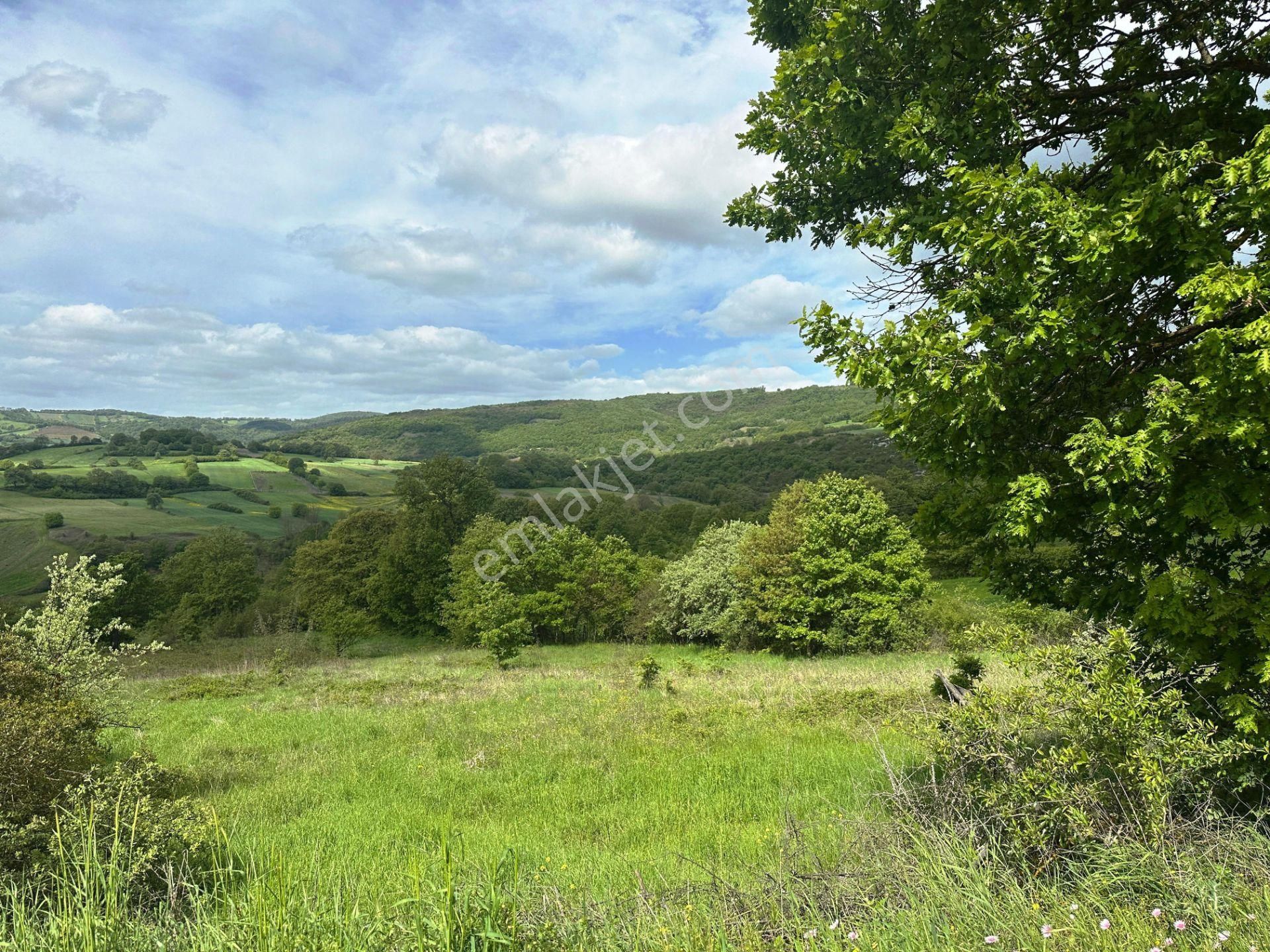 Çan Okçular'da 3.458m2 Resmi Yolu Olan Müst.parsel Satılık Arsa - Görsel 20