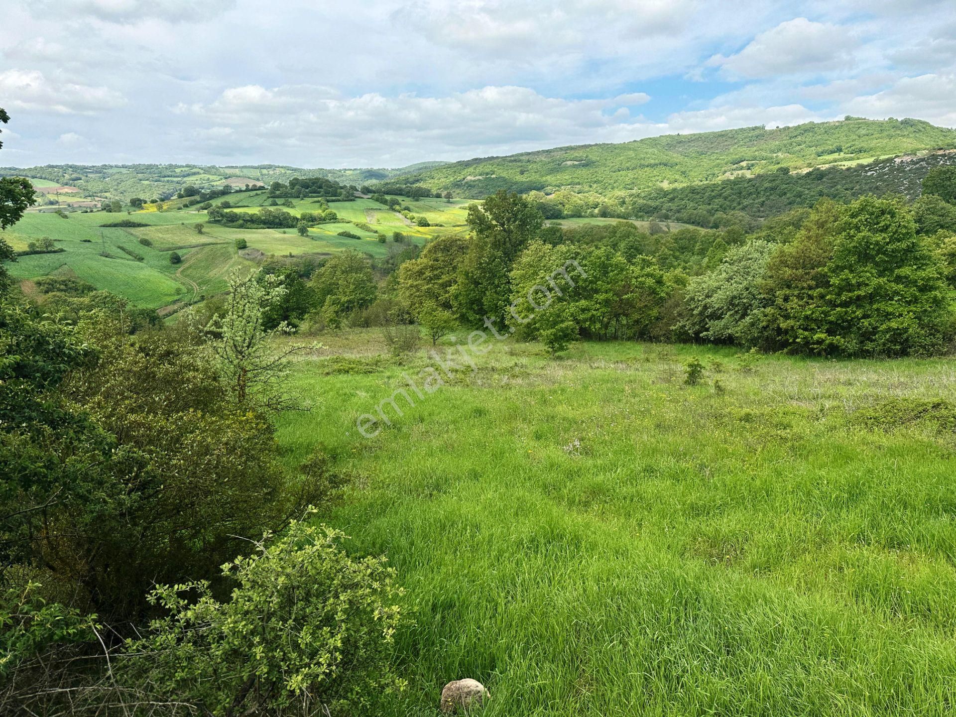 Çan Okçular'da 3.458m2 Resmi Yolu Olan Müst.parsel Satılık Arsa - Görsel 7