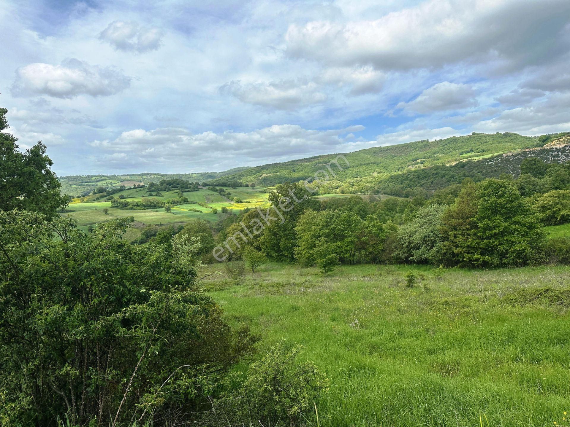 Çan Okçular'da 3.458m2 Resmi Yolu Olan Müst.parsel Satılık Arsa - Görsel 26